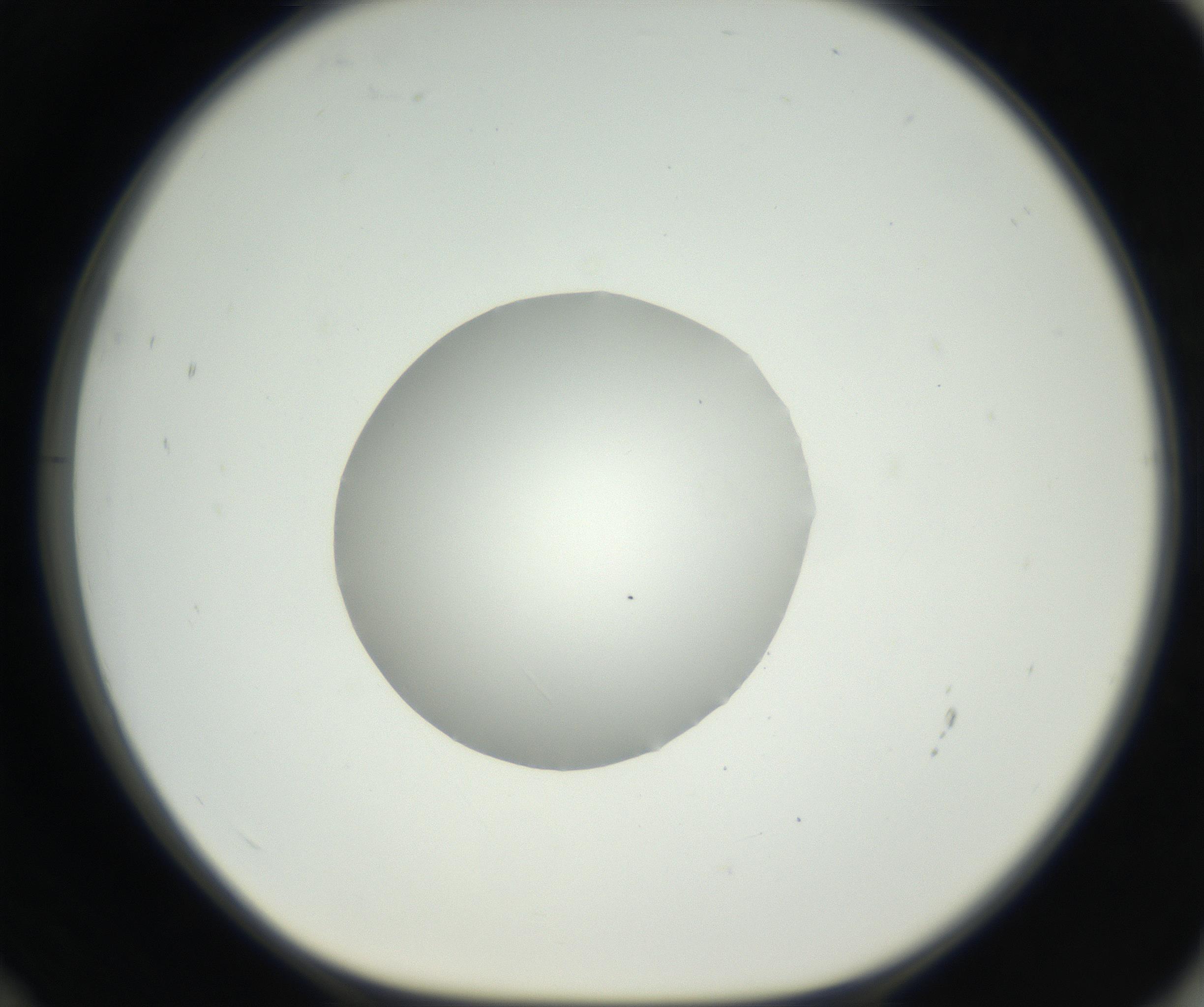 RI01_03_000_0212_Proj1_Clon1_MC_0000MC102538_012_160813_12_06_01_00_99_002_001_RAI.jpg