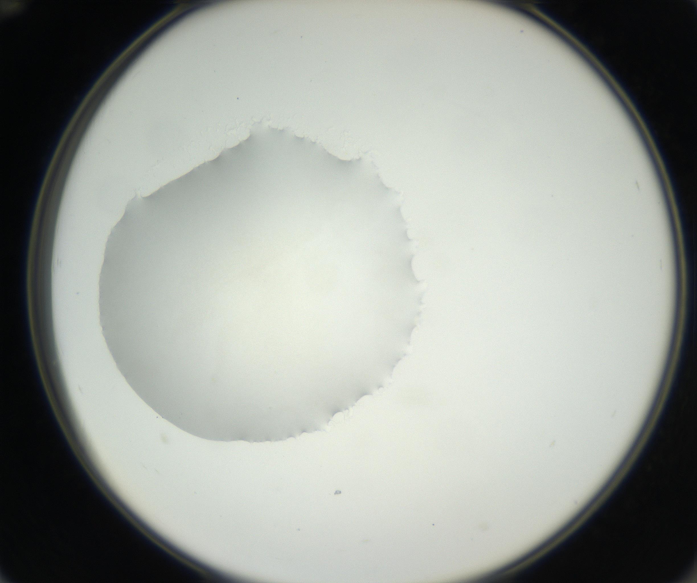 RI01_03_000_0212_Proj1_Clon1_MC_0000MC102538_012_160813_12_06_02_00_99_002_001_RAI.jpg