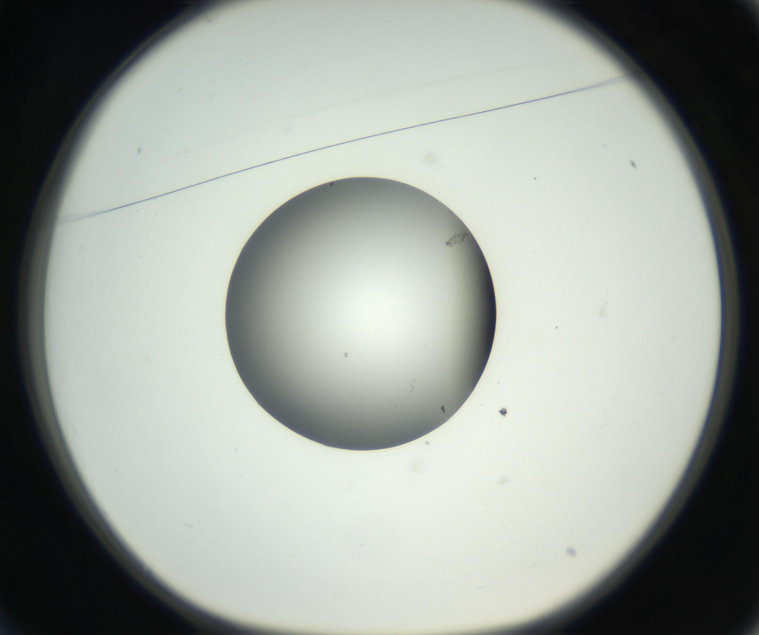 RI01_03_000_0212_Proj1_Clon1_MC_0000MC102603_009_160824_01_02_01_00_99_002_001_RAI.jpg