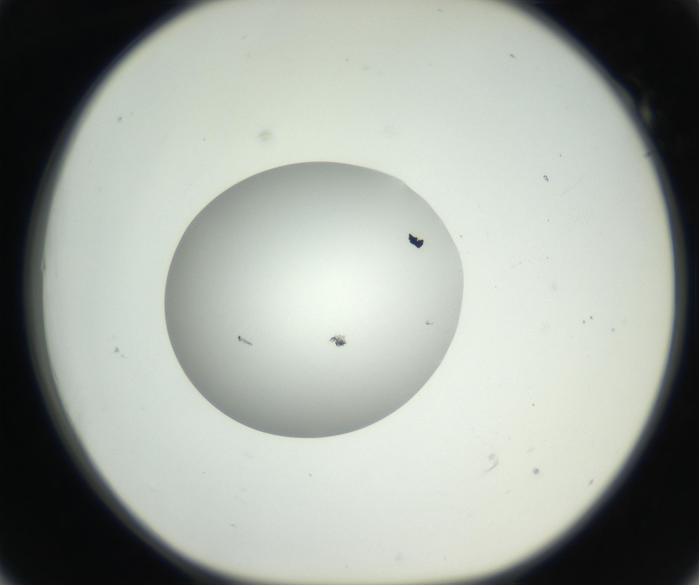 RI01_03_000_0212_Proj1_Clon1_MC_0000MC102603_009_160824_01_05_01_00_99_002_001_RAI.jpg