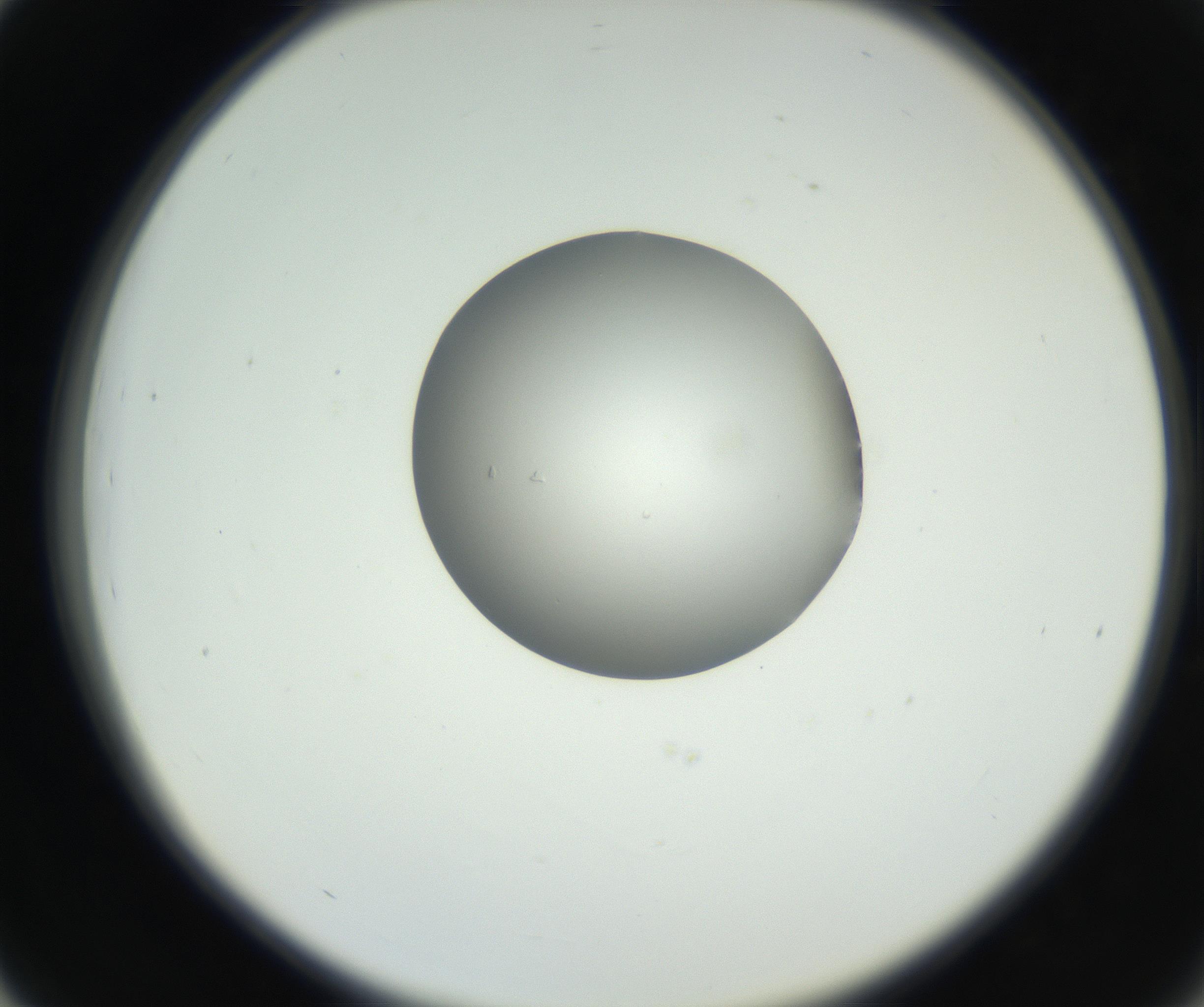 RI01_03_000_0212_Proj1_Clon1_MC_0000MC102603_009_160824_03_04_02_00_99_002_001_RAI.jpg