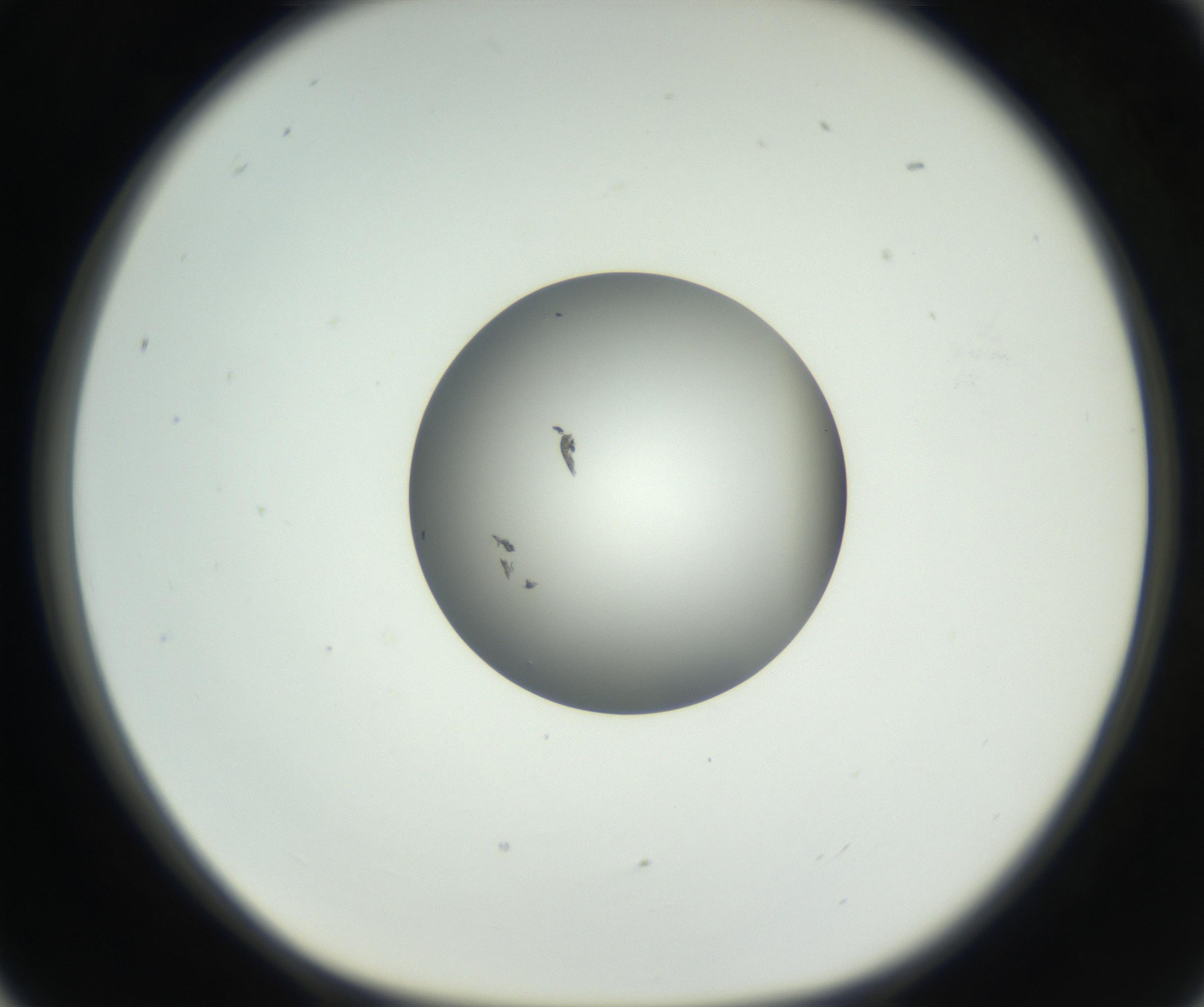 RI01_03_000_0212_Proj1_Clon1_MC_0000MC102603_009_160824_05_02_01_00_99_002_001_RAI.jpg