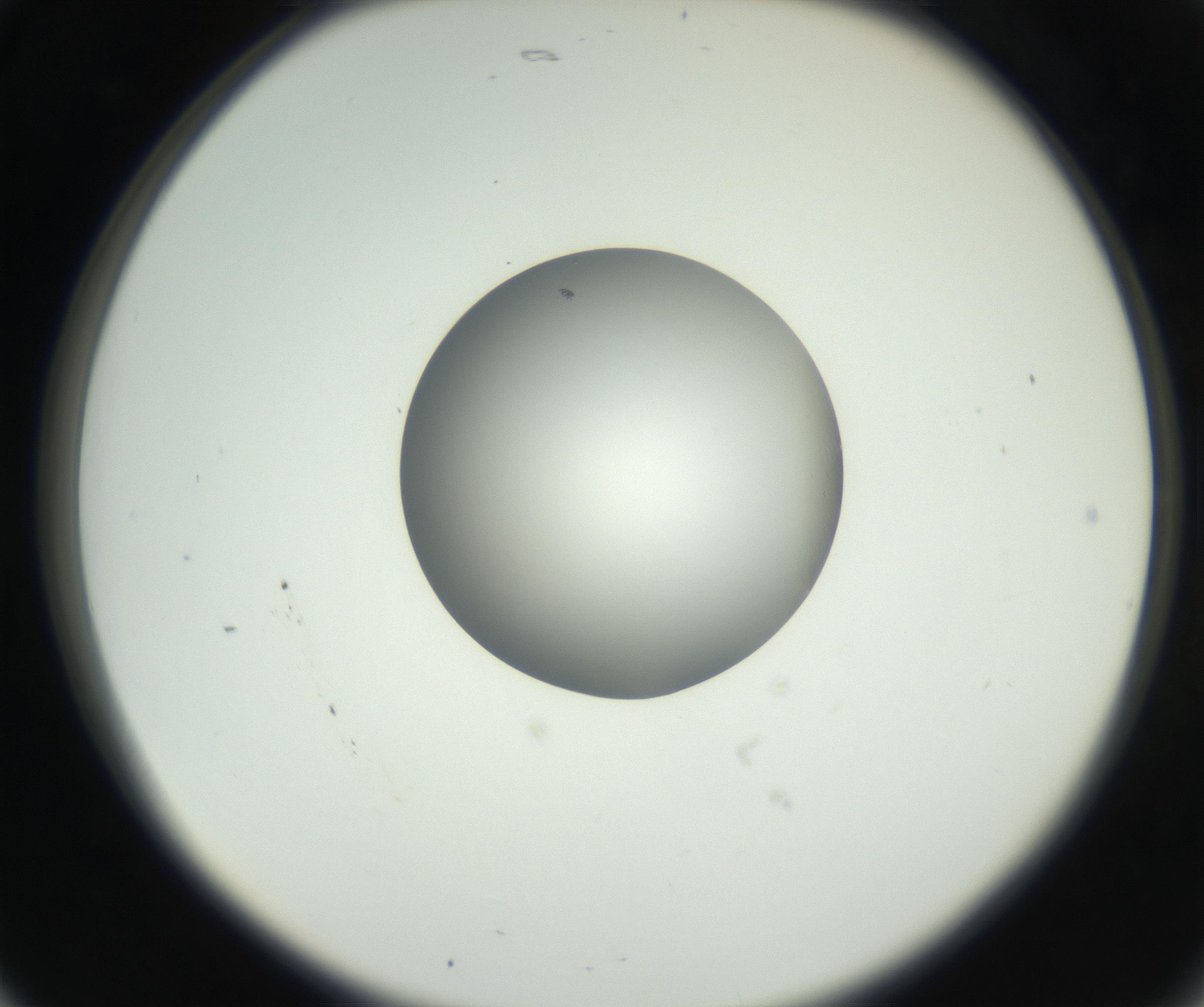 RI01_03_000_0212_Proj1_Clon1_MC_0000MC102603_009_160824_05_02_02_00_99_002_001_RAI.jpg