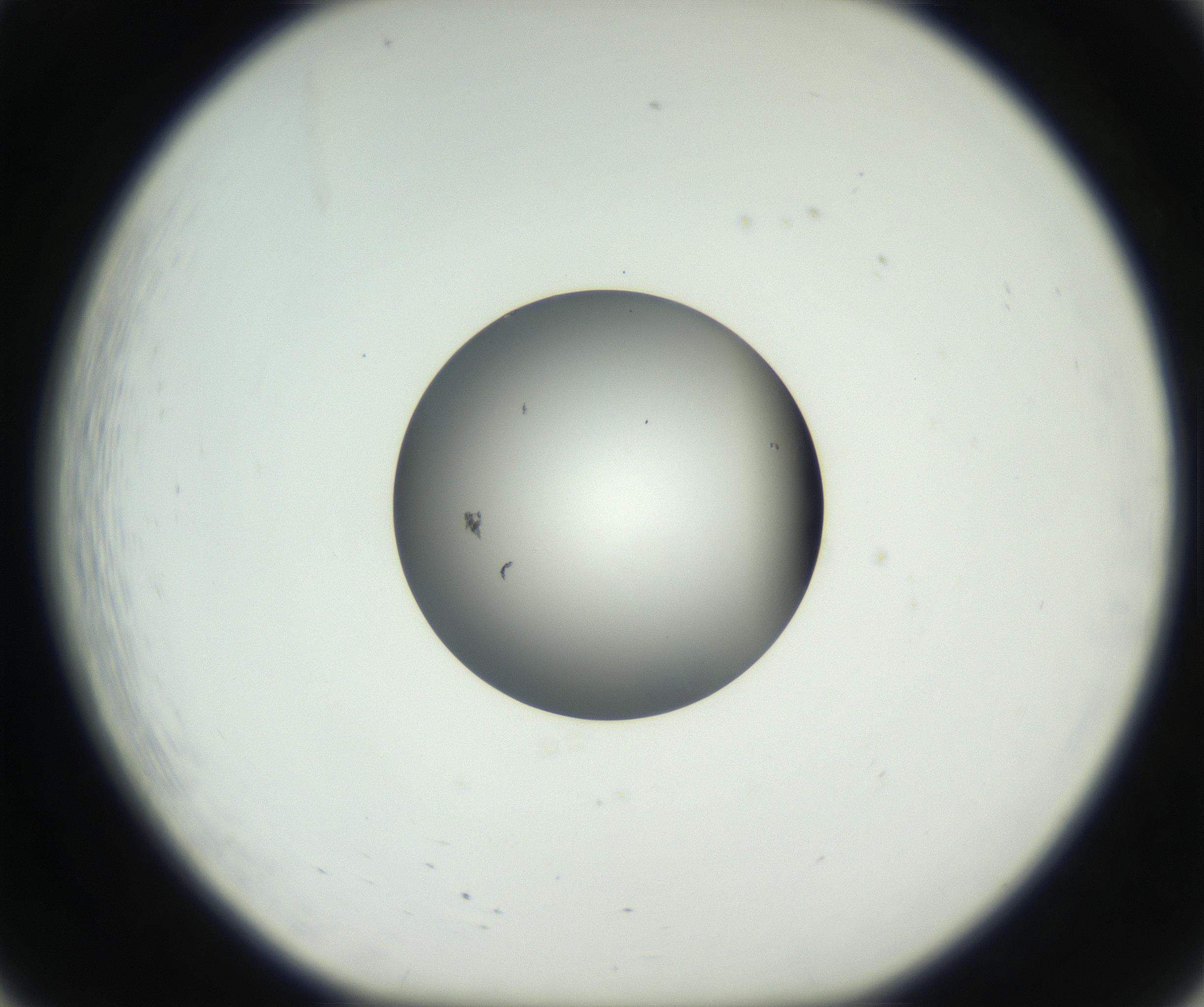 RI01_03_000_0212_Proj1_Clon1_MC_0000MC102603_009_160824_08_02_01_00_99_002_001_RAI.jpg