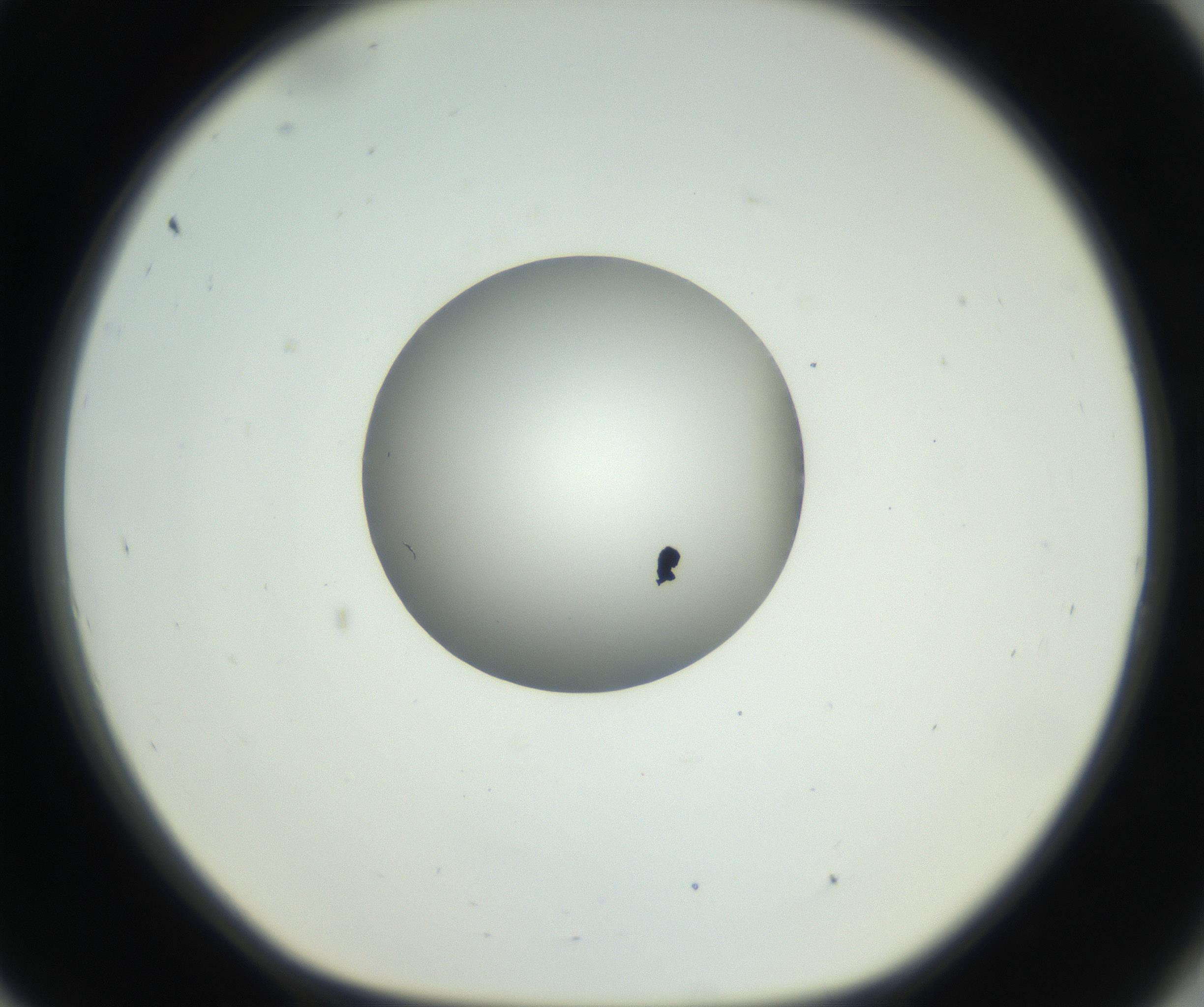 RI01_03_000_0212_Proj1_Clon1_MC_0000MC102603_009_160824_09_08_01_00_99_002_001_RAI.jpg