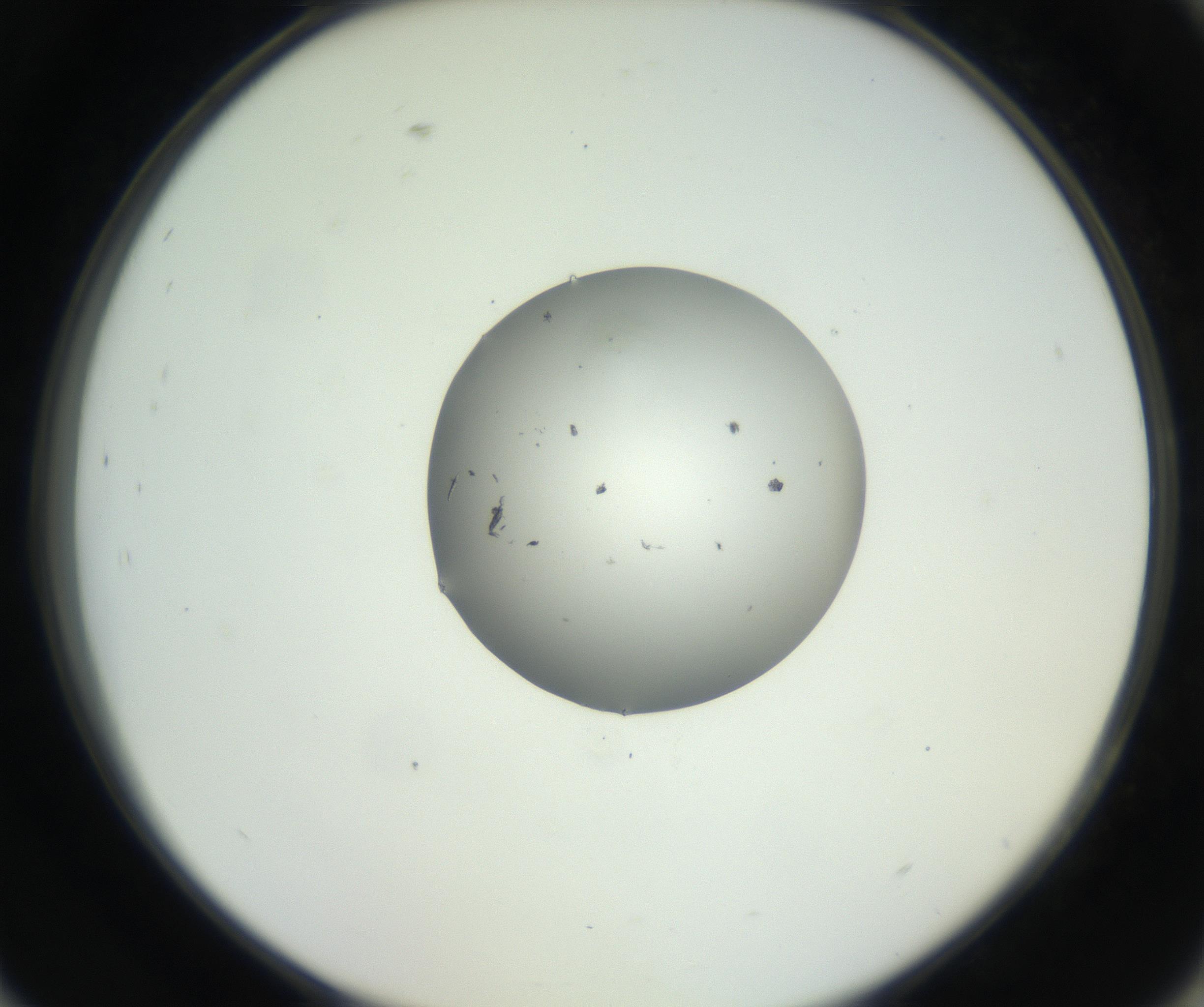 RI01_03_000_0212_Proj1_Clon1_MC_0000MC102603_009_160824_09_08_02_00_99_002_001_RAI.jpg