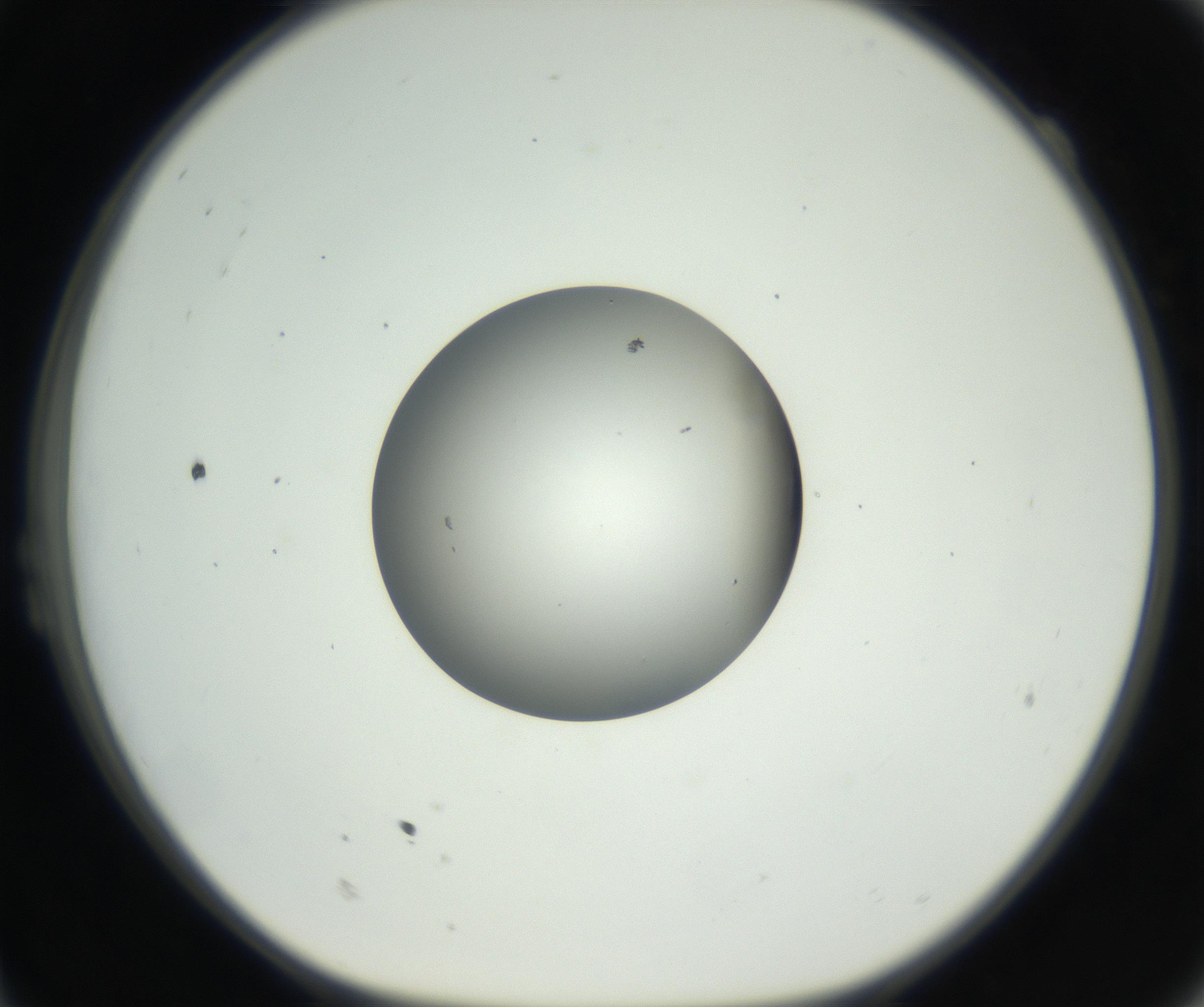 RI01_03_000_0212_Proj1_Clon1_MC_0000MC102603_009_160824_11_02_01_00_99_002_001_RAI.jpg