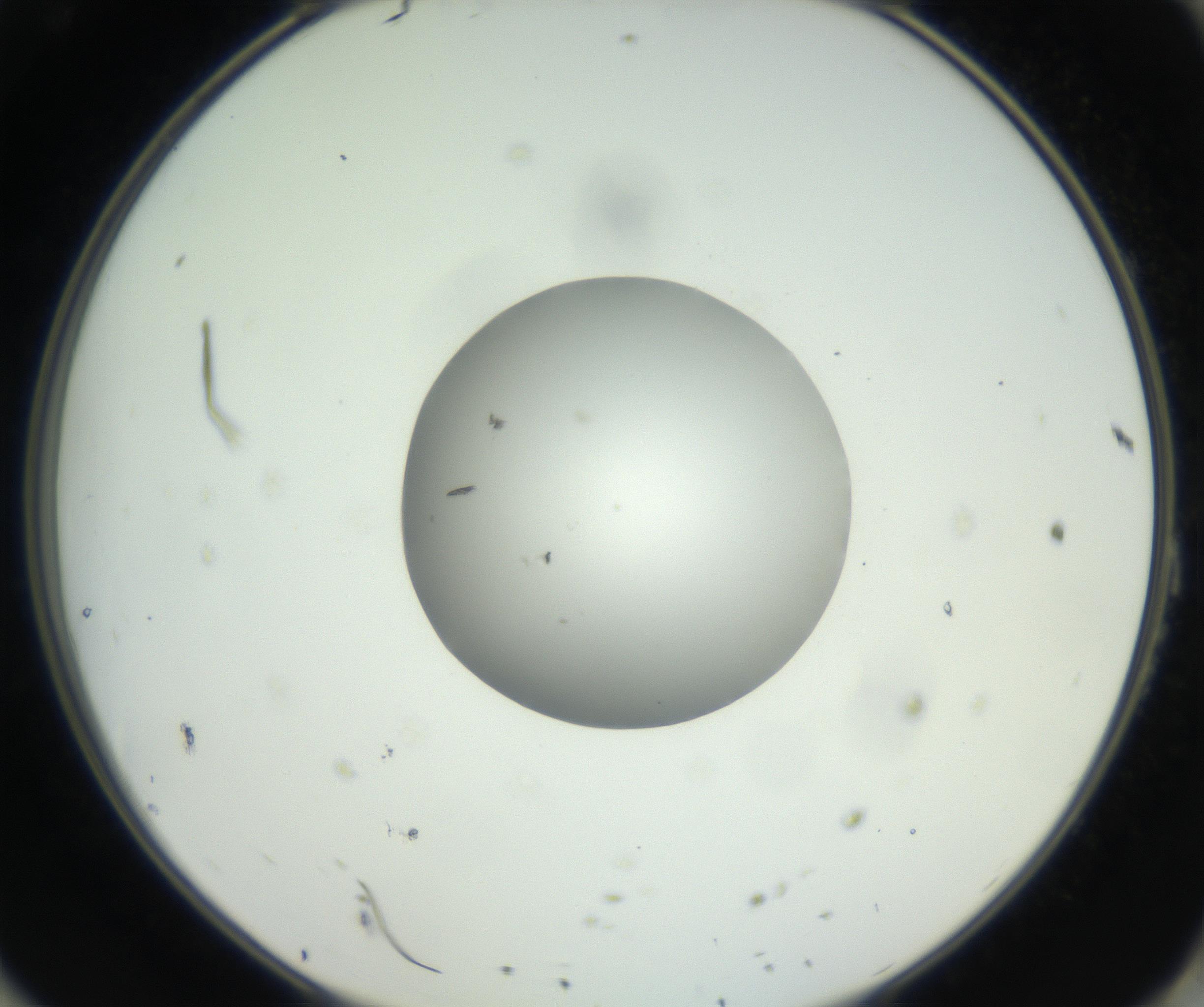 RI01_03_000_0212_Proj1_Clon1_MC_0000MC102603_009_160824_11_08_02_00_99_002_001_RAI.jpg