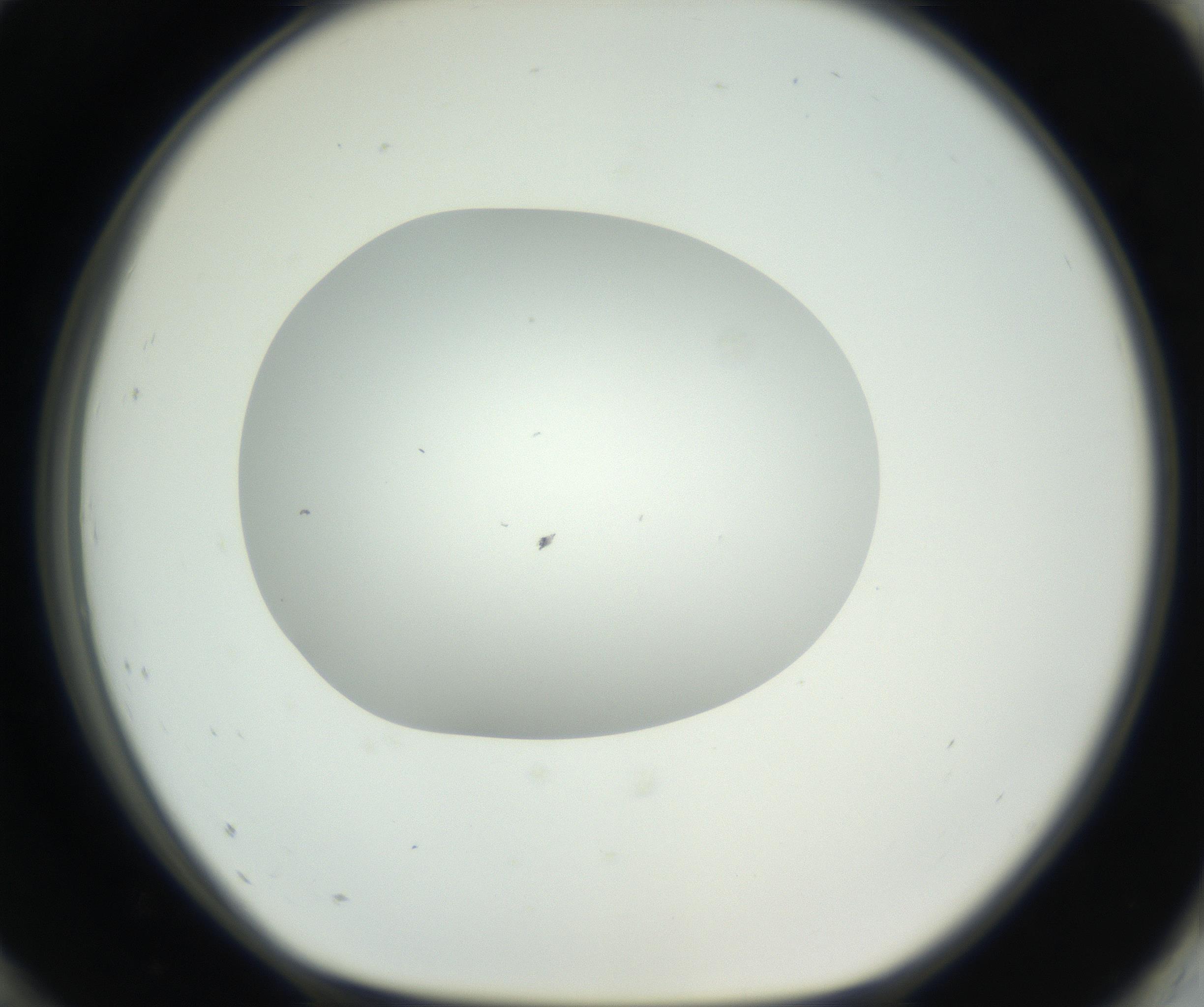 RI01_03_000_0212_Proj1_Clon1_MC_0000MC102603_009_160824_12_08_01_00_99_002_001_RAI.jpg