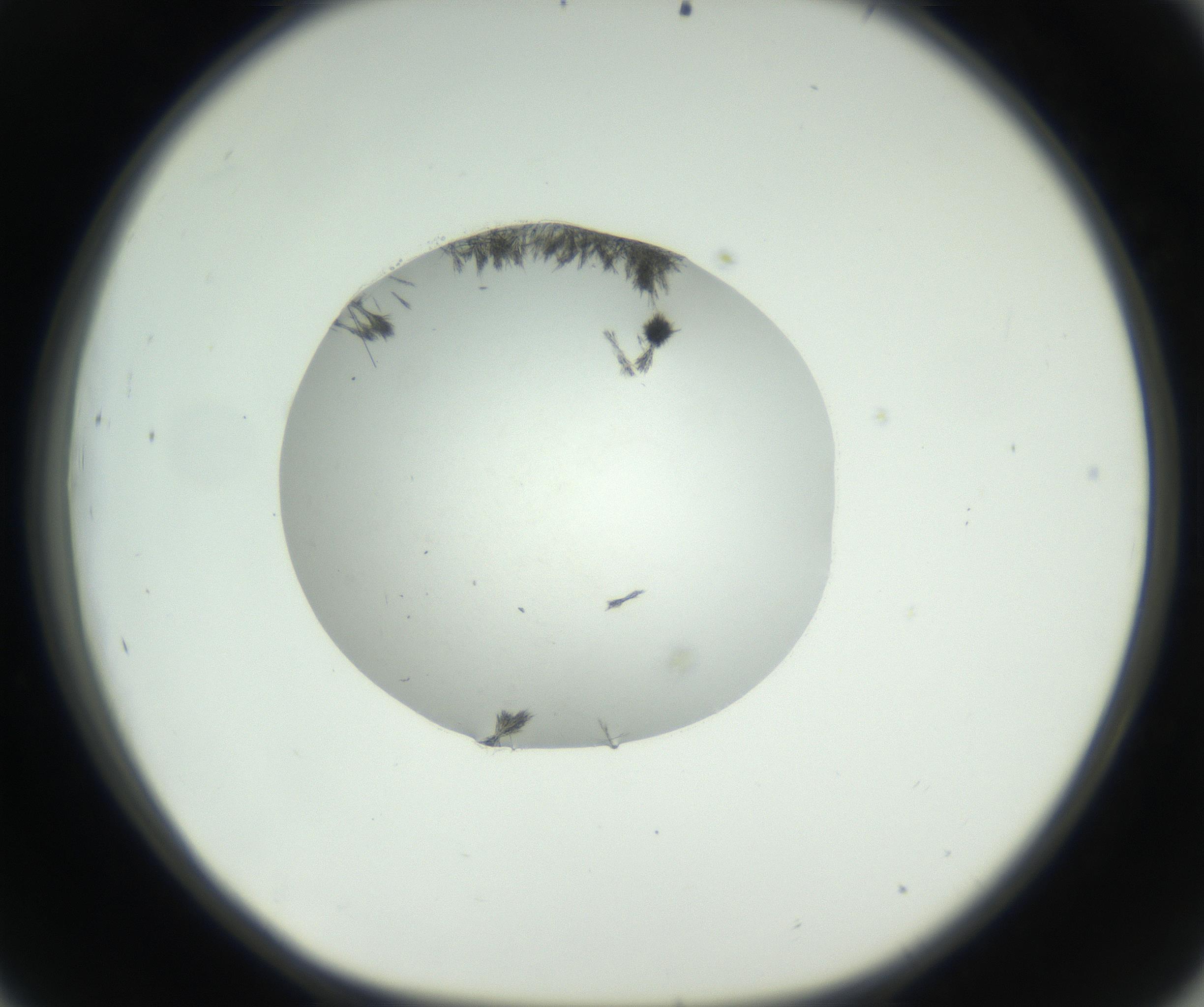 RI01_03_000_0212_Proj1_Clon1_MC_0000MC102607_011_160909_09_04_01_00_99_002_001_RAI.jpg