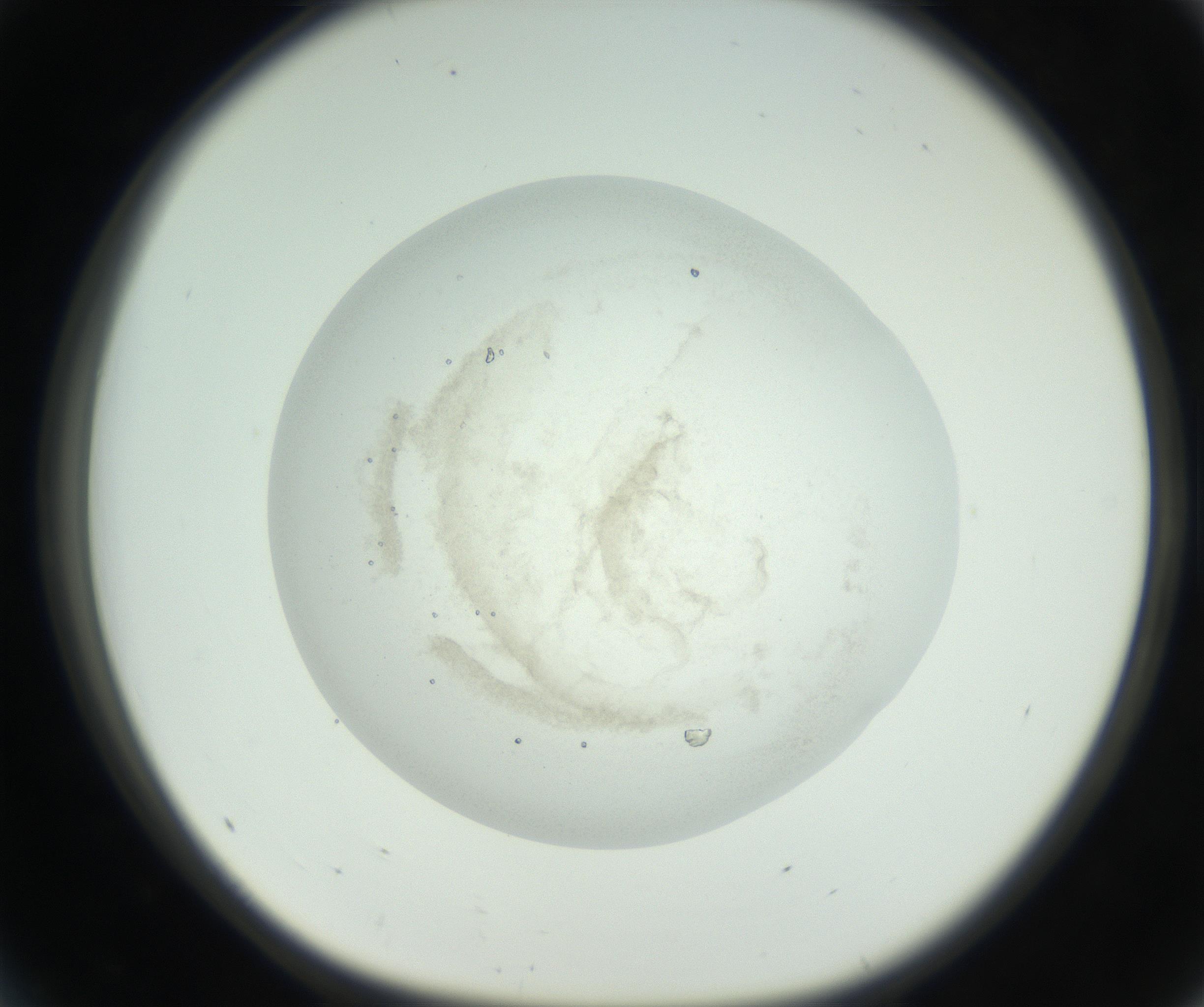 RI01_03_000_0212_Proj1_Clon1_MC_0000MC102608_012_160916_05_04_01_00_99_002_001_RAI.jpg