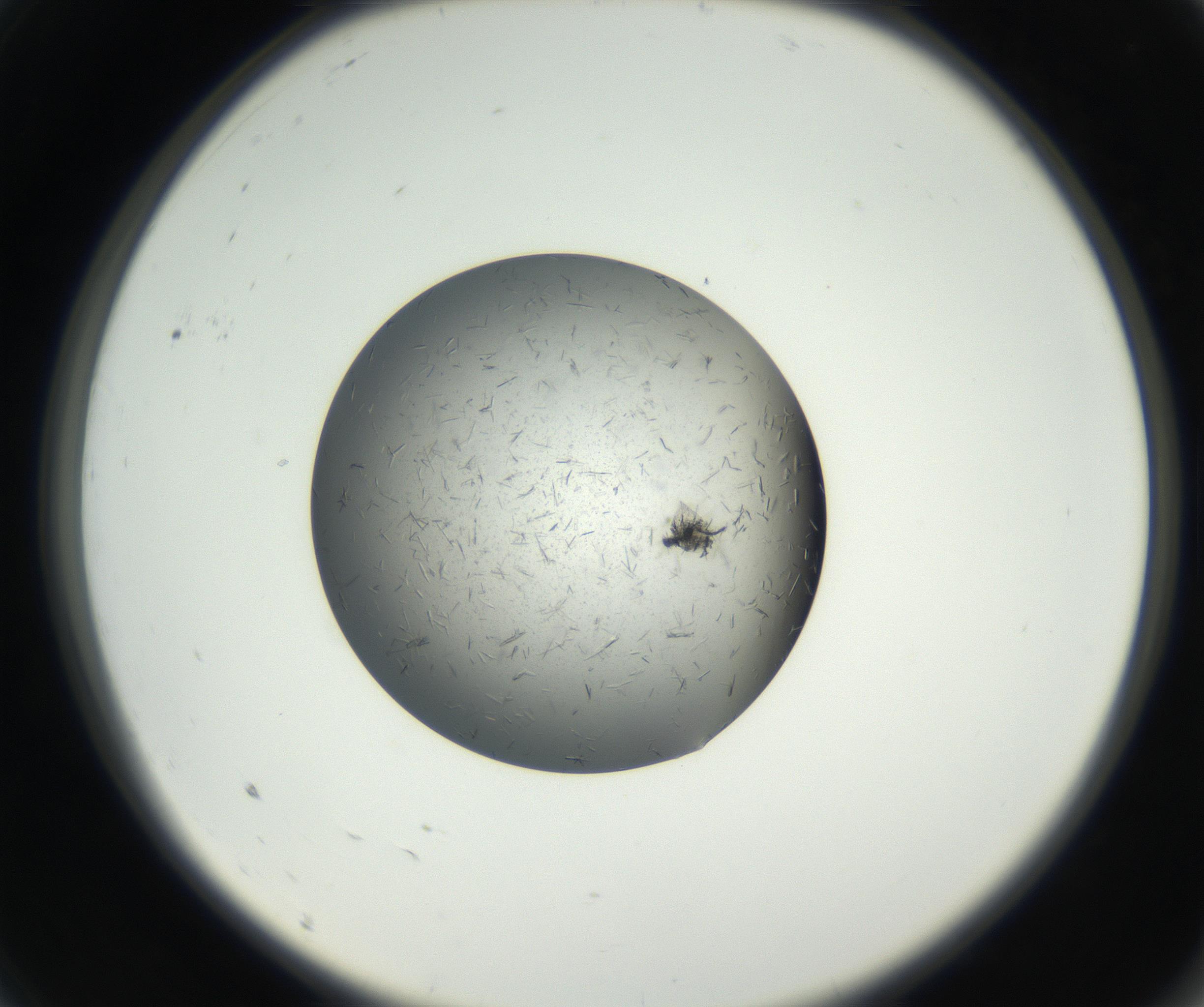 RI01_03_000_0212_Proj1_Clon1_MC_0000MC102609_006_160808_09_01_02_00_99_002_001_RAI.jpg