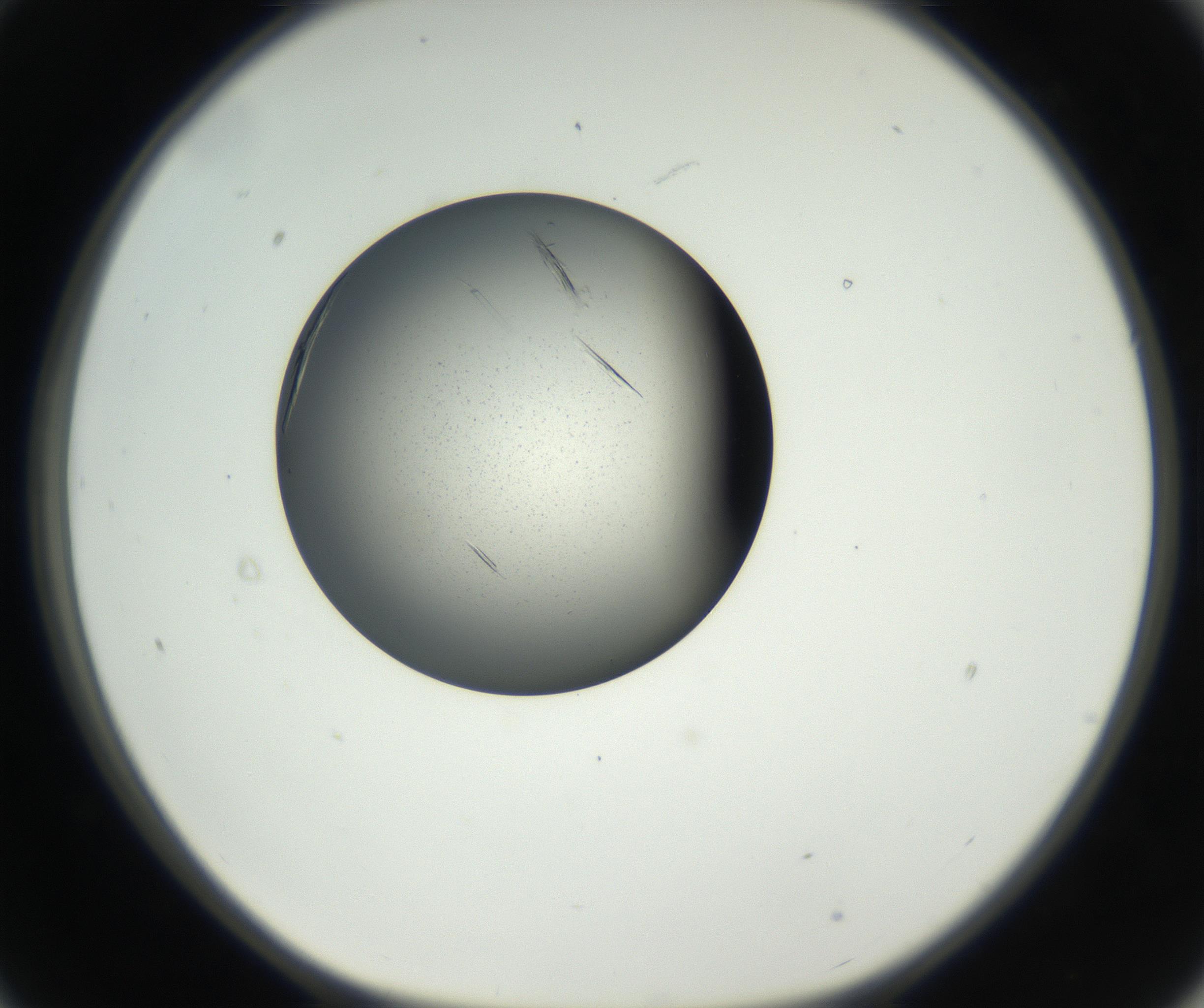 RI01_03_000_0212_Proj1_Clon1_MC_0000MC102609_006_160808_09_02_01_00_99_002_001_RAI.jpg