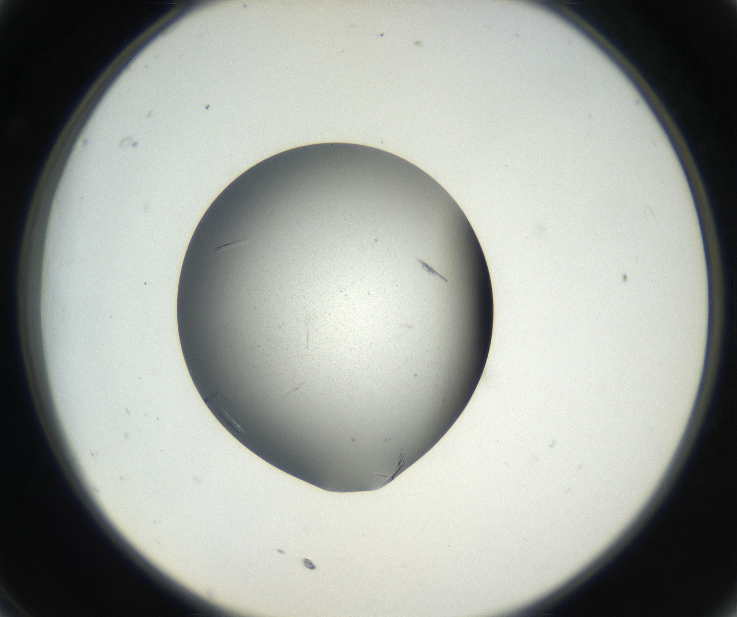 RI01_03_000_0212_Proj1_Clon1_MC_0000MC102609_006_160808_11_03_02_00_99_002_001_RAI.jpg
