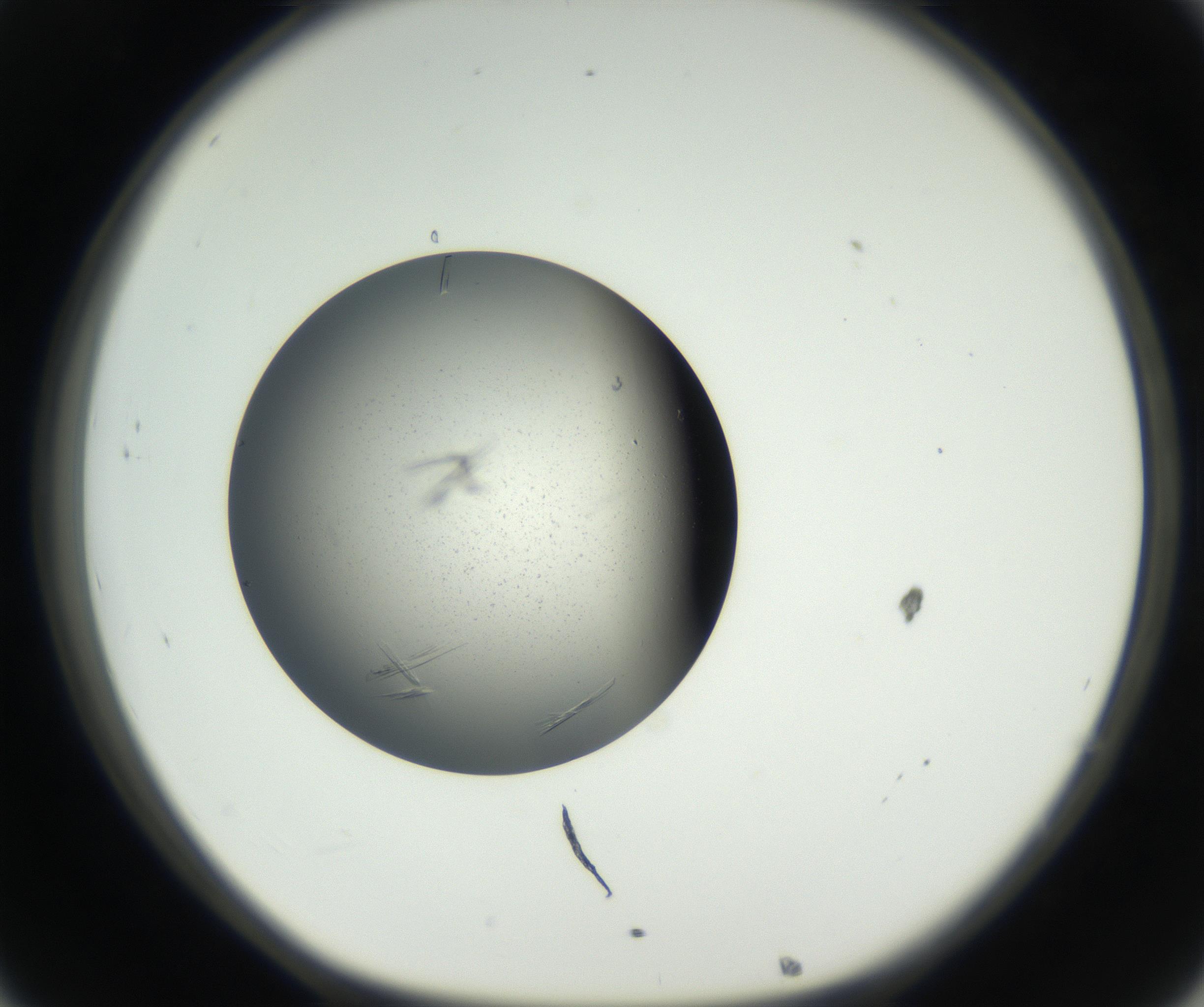 RI01_03_000_0212_Proj1_Clon1_MC_0000MC102609_007_160813_08_03_01_00_99_002_001_RAI.jpg