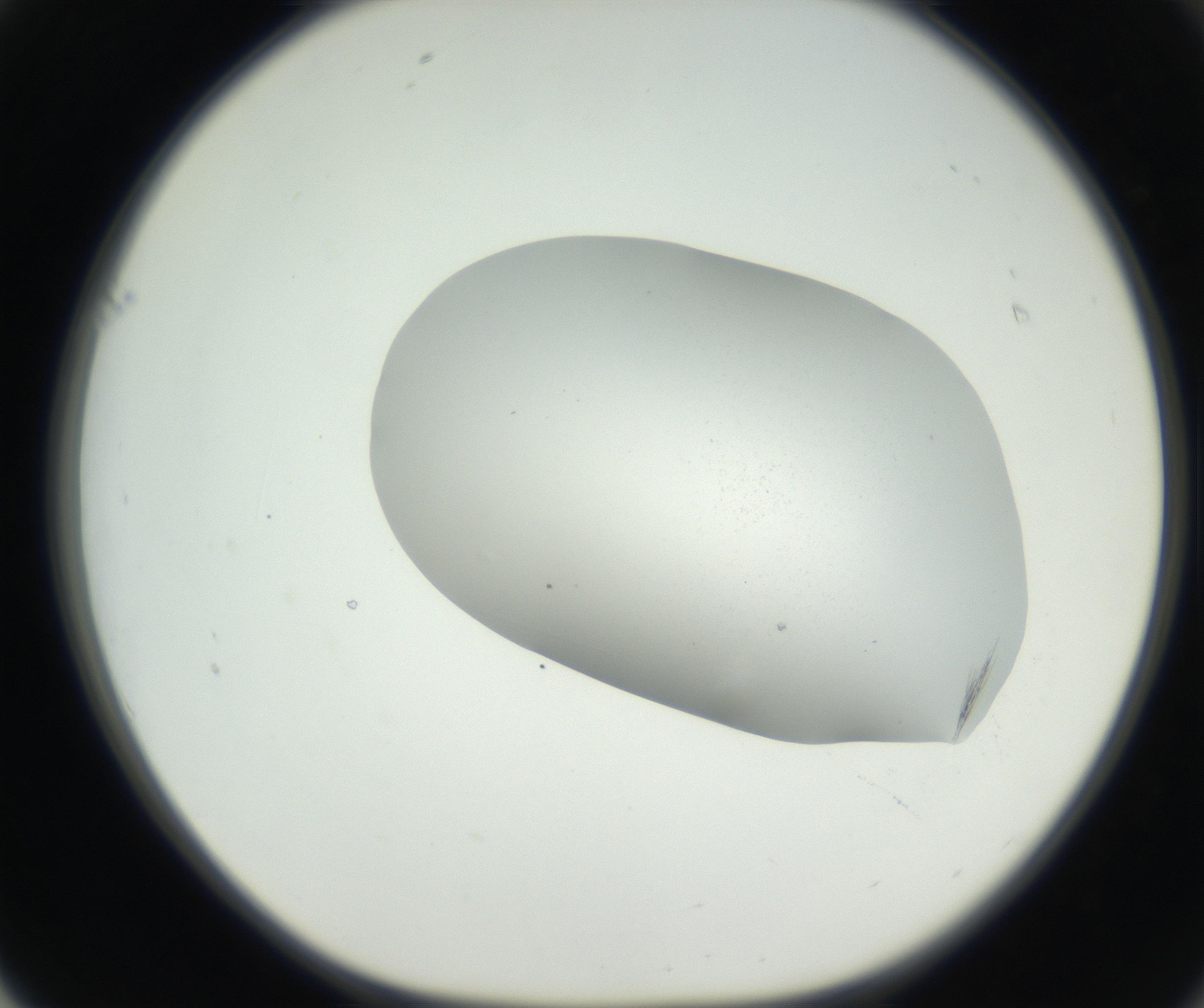 RI01_03_000_0212_Proj1_Clon1_MC_0000MC102622_003_160808_01_06_01_00_99_002_001_RAI.jpg