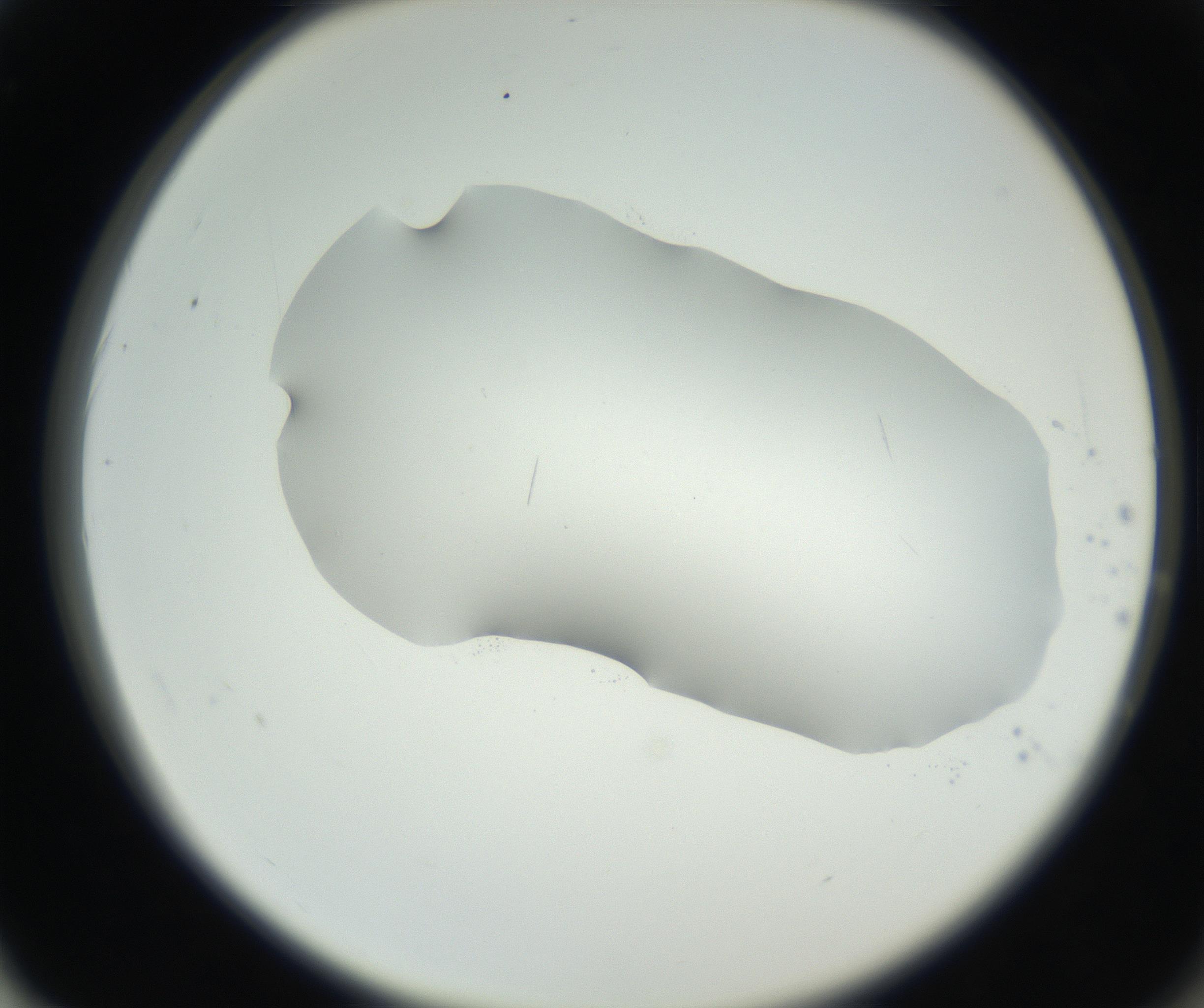 RI01_03_000_0212_Proj1_Clon1_MC_0000MC102622_003_160808_02_06_02_00_99_002_001_RAI.jpg