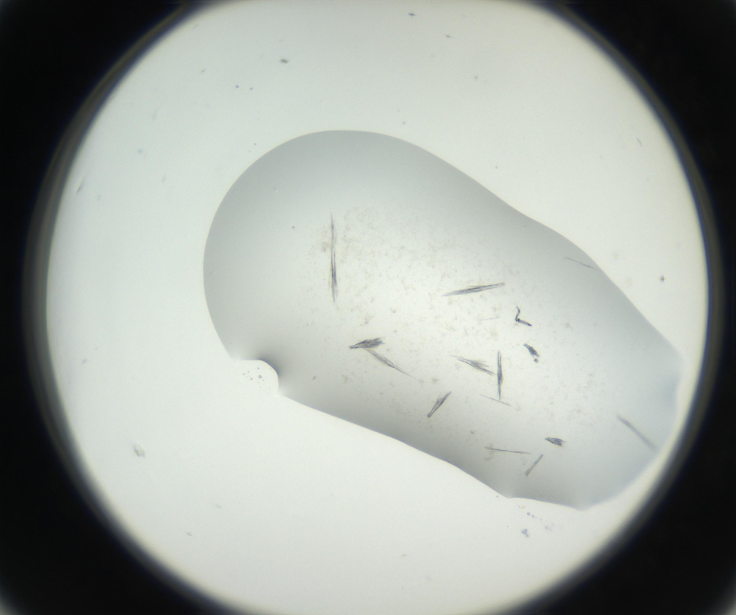 RI01_03_000_0212_Proj1_Clon1_MC_0000MC102622_003_160808_03_02_02_00_99_002_001_RAI.jpg