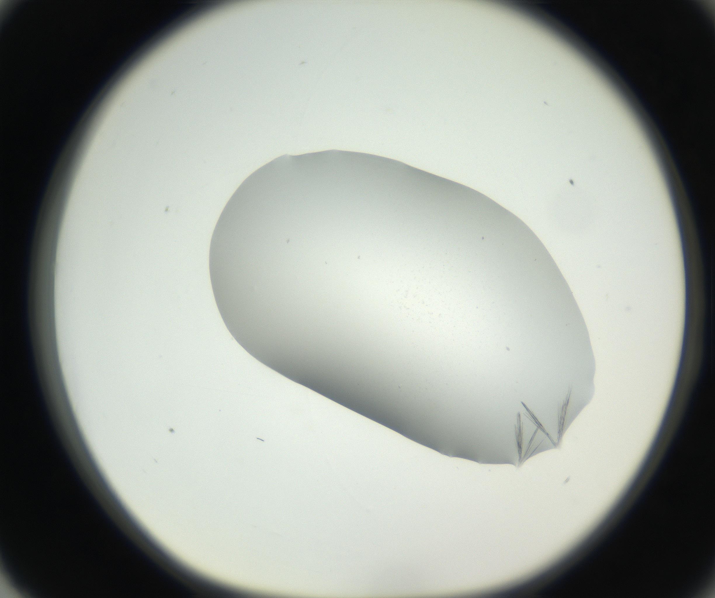 RI01_03_000_0212_Proj1_Clon1_MC_0000MC102622_003_160808_03_08_01_00_99_002_001_RAI.jpg