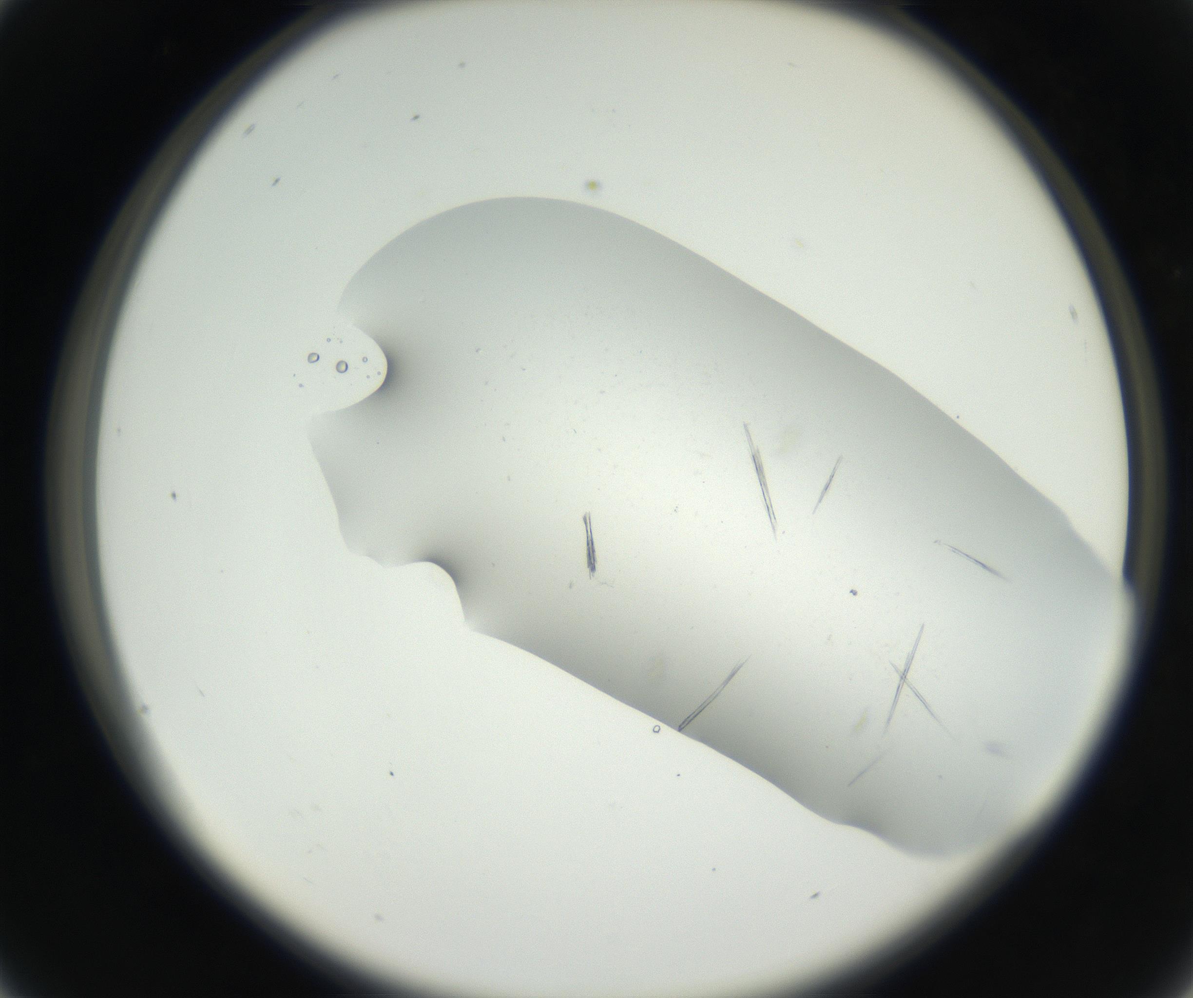 RI01_03_000_0212_Proj1_Clon1_MC_0000MC102622_003_160808_04_02_02_00_99_002_001_RAI.jpg