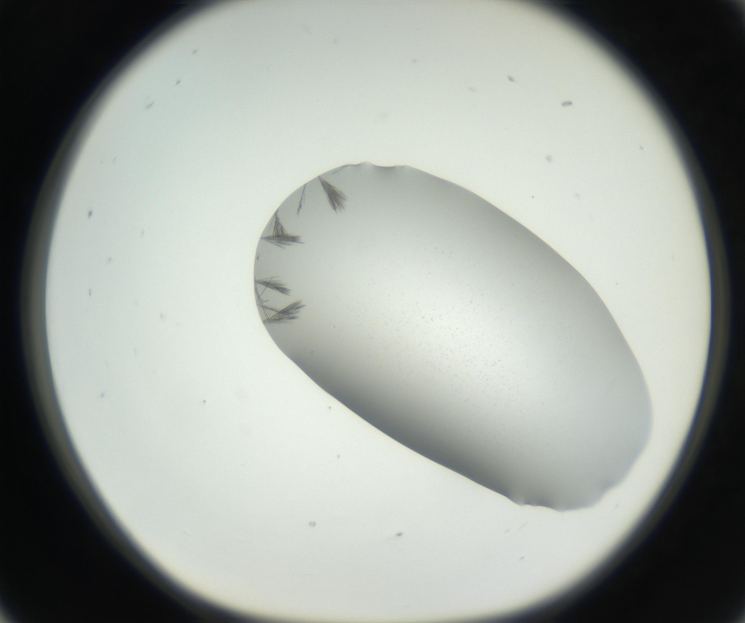 RI01_03_000_0212_Proj1_Clon1_MC_0000MC102622_003_160808_05_02_01_00_99_002_001_RAI.jpg