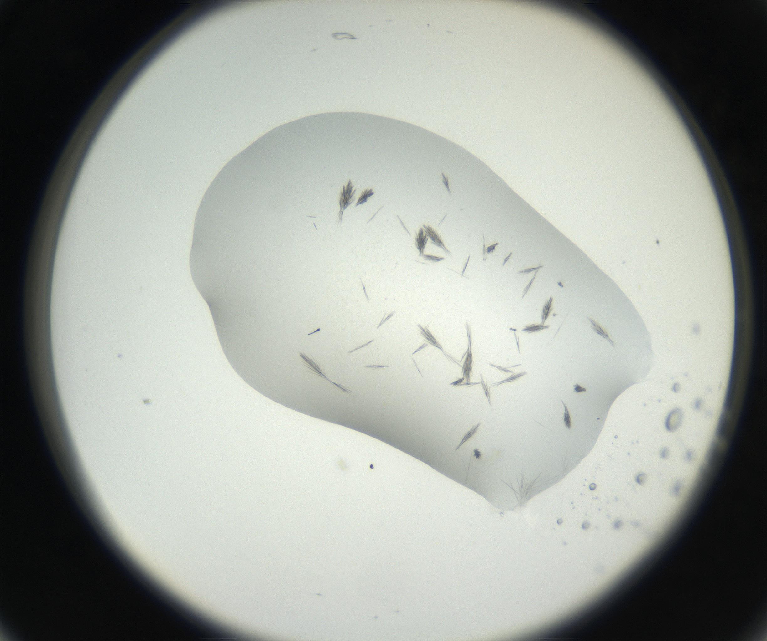 RI01_03_000_0212_Proj1_Clon1_MC_0000MC102622_003_160808_05_02_02_00_99_002_001_RAI.jpg