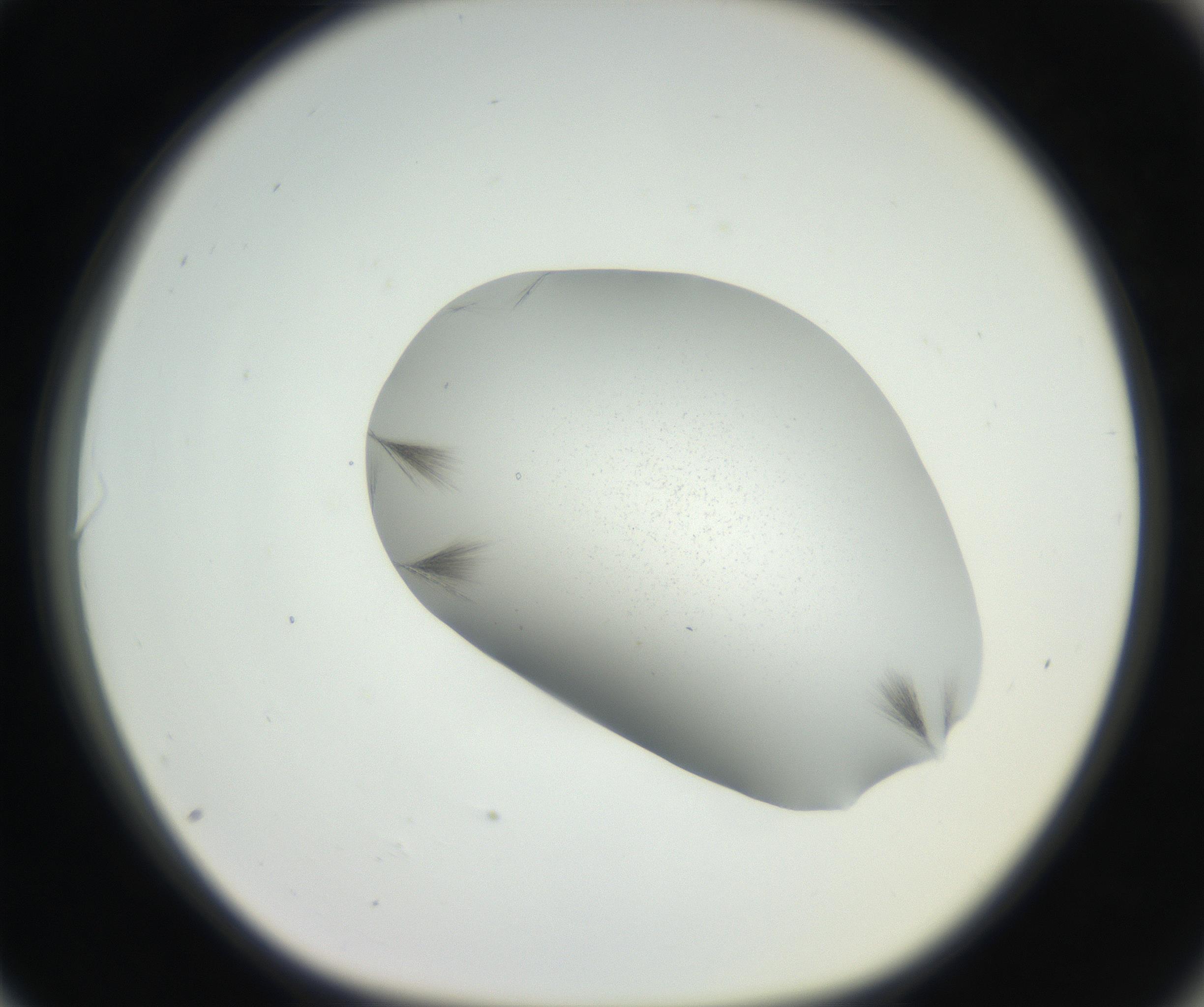 RI01_03_000_0212_Proj1_Clon1_MC_0000MC102622_003_160808_06_08_01_00_99_002_001_RAI.jpg
