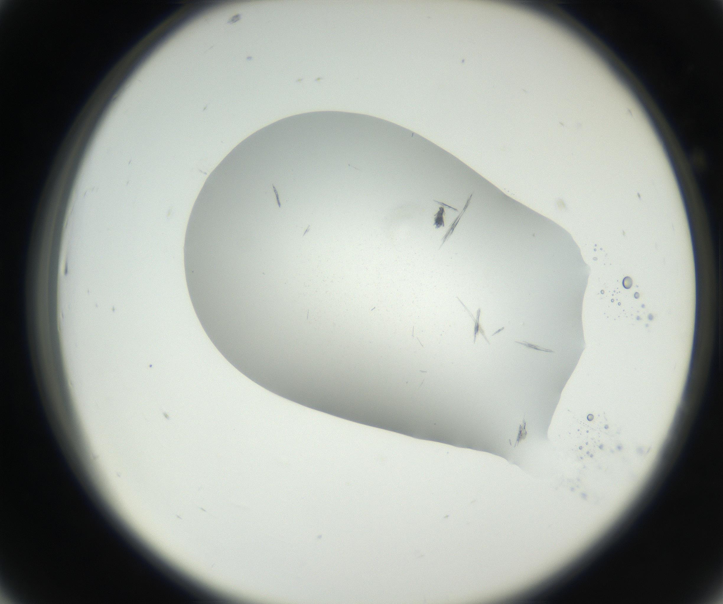 RI01_03_000_0212_Proj1_Clon1_MC_0000MC102622_003_160808_07_04_02_00_99_002_001_RAI.jpg