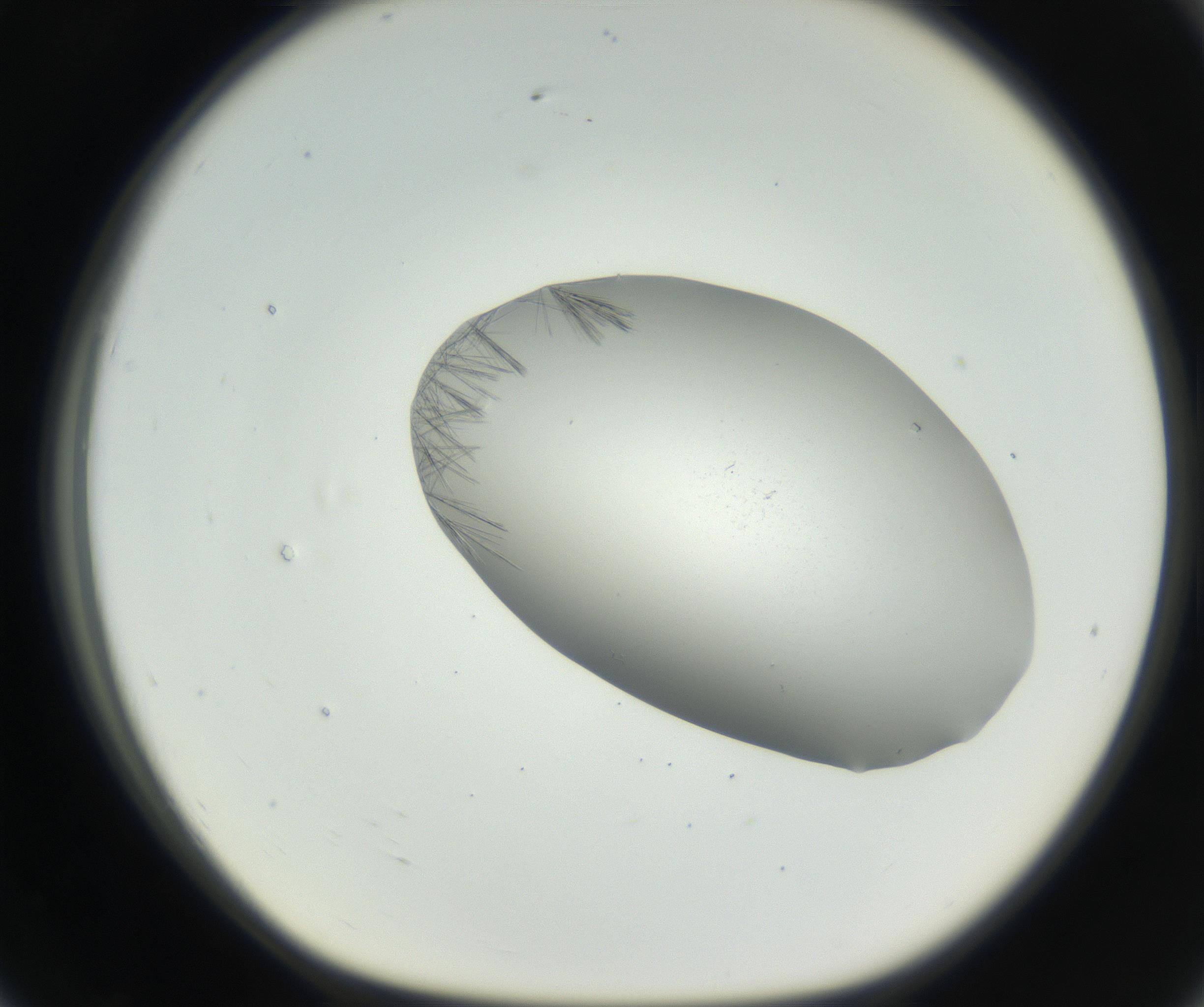 RI01_03_000_0212_Proj1_Clon1_MC_0000MC102622_003_160808_07_07_01_00_99_002_001_RAI.jpg