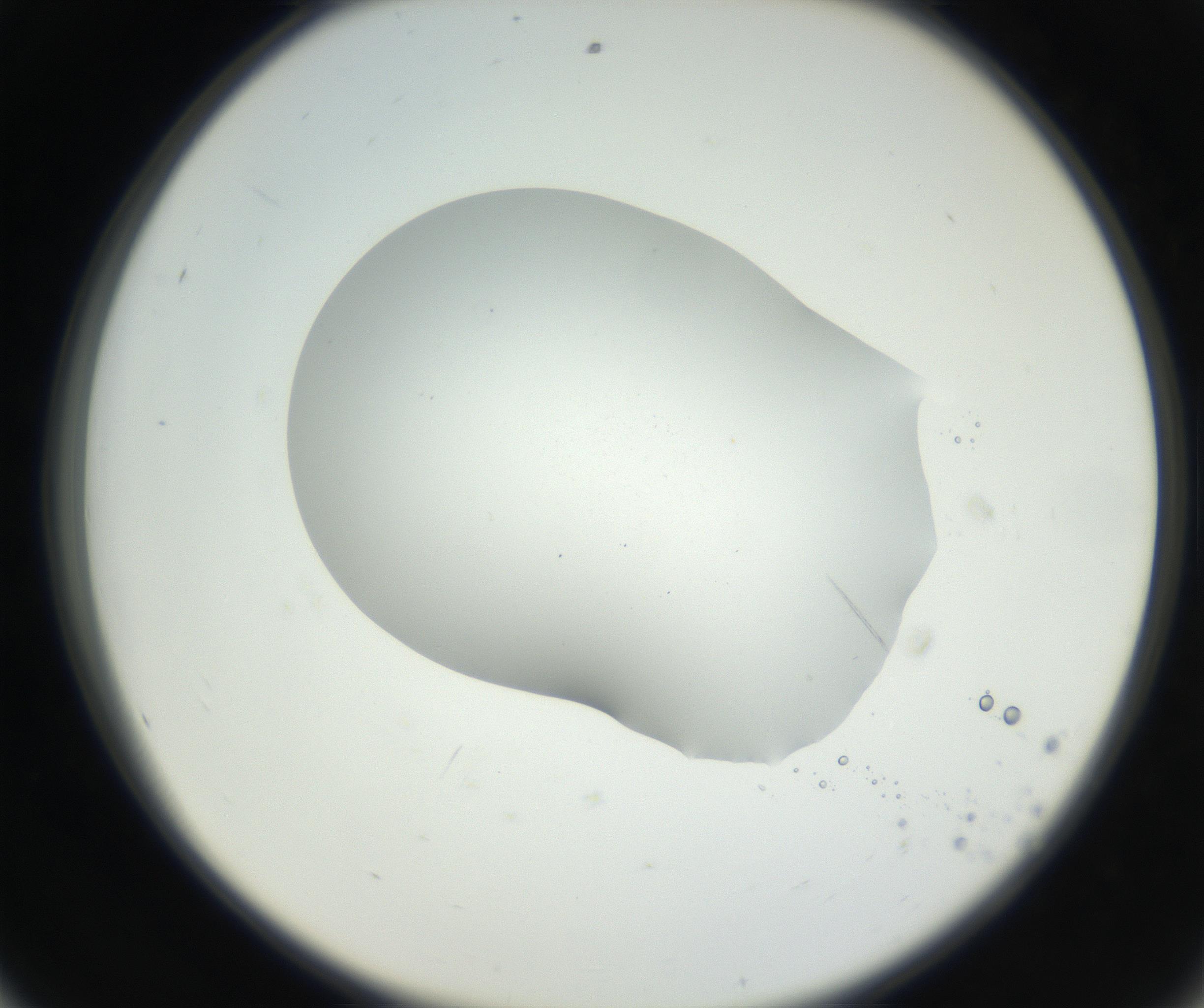 RI01_03_000_0212_Proj1_Clon1_MC_0000MC102622_003_160808_08_05_02_00_99_002_001_RAI.jpg