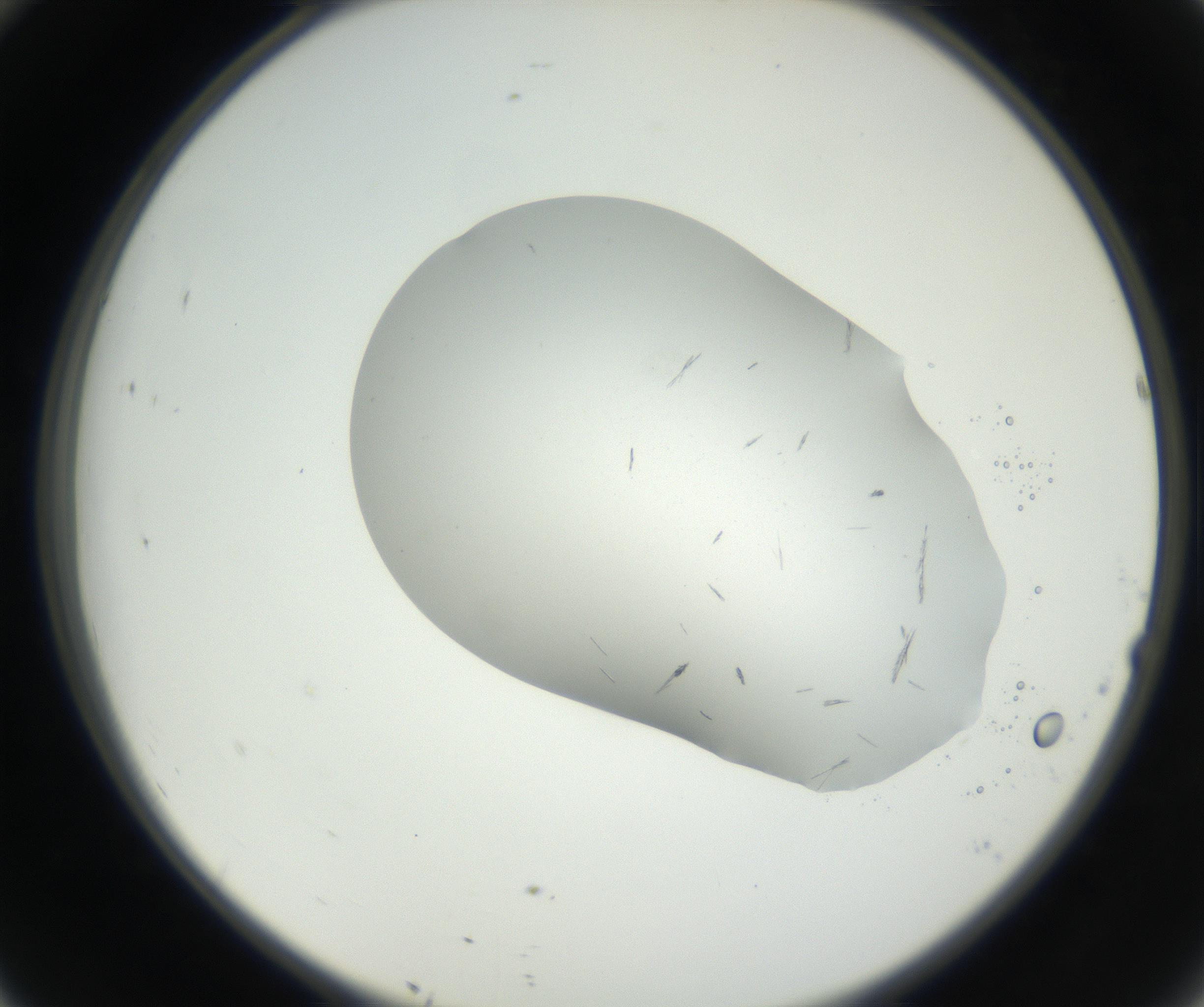 RI01_03_000_0212_Proj1_Clon1_MC_0000MC102622_003_160808_10_04_02_00_99_002_001_RAI.jpg