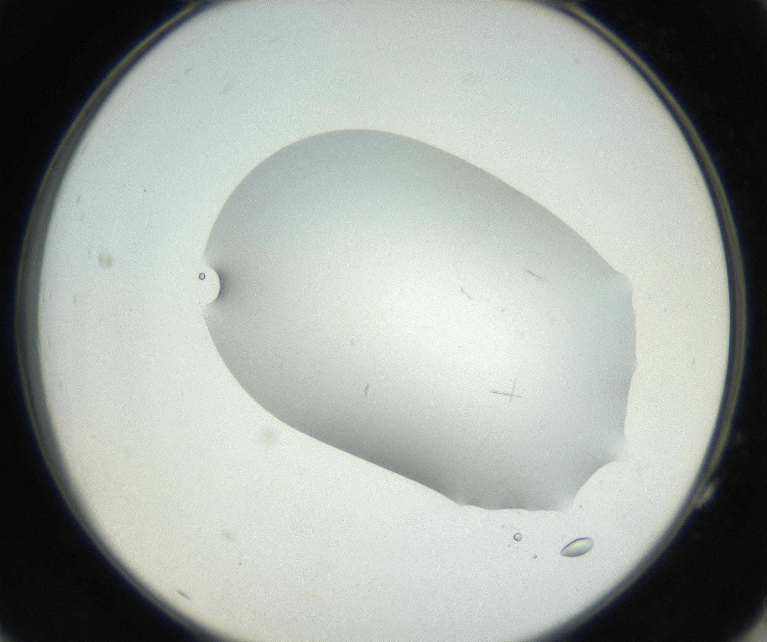RI01_03_000_0212_Proj1_Clon1_MC_0000MC102622_003_160808_11_07_02_00_99_002_001_RAI.jpg