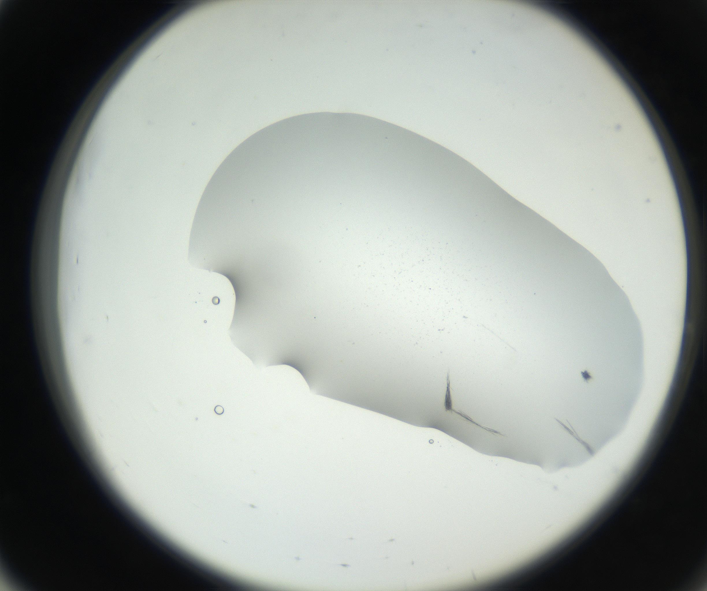 RI01_03_000_0212_Proj1_Clon1_MC_0000MC102622_005_160813_03_05_02_00_99_002_001_RAI.jpg