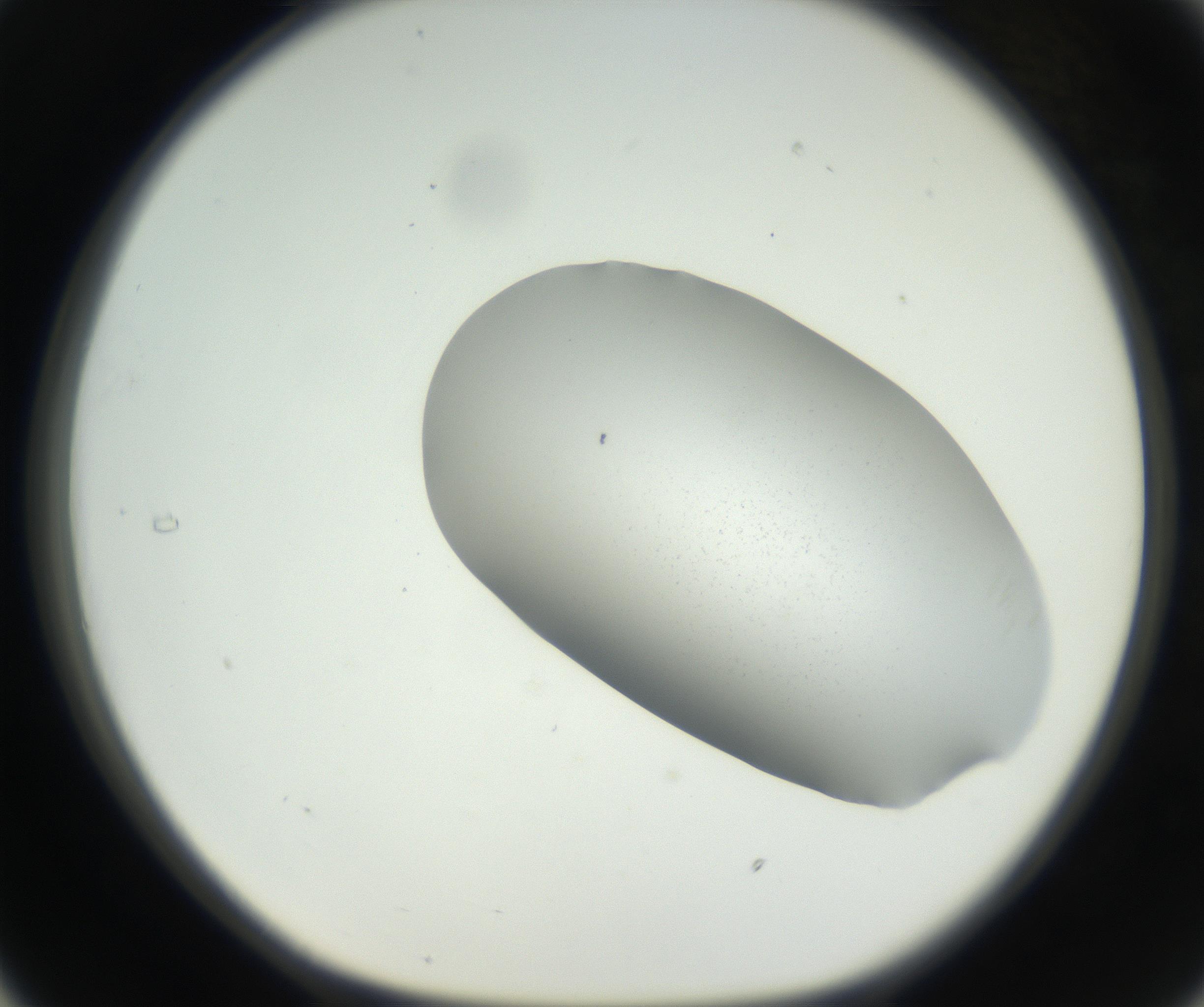RI01_03_000_0212_Proj1_Clon1_MC_0000MC102622_005_160813_05_03_01_00_99_002_001_RAI.jpg