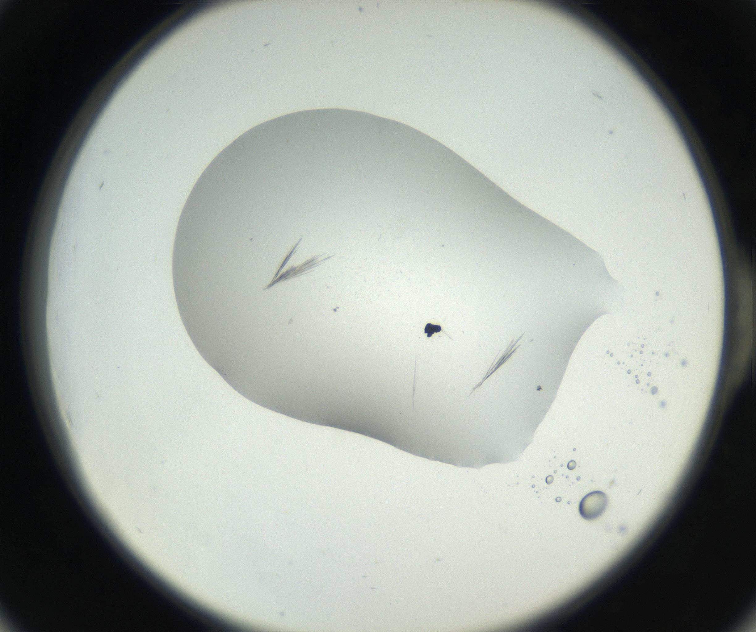 RI01_03_000_0212_Proj1_Clon1_MC_0000MC102622_005_160813_06_05_02_00_99_002_001_RAI.jpg
