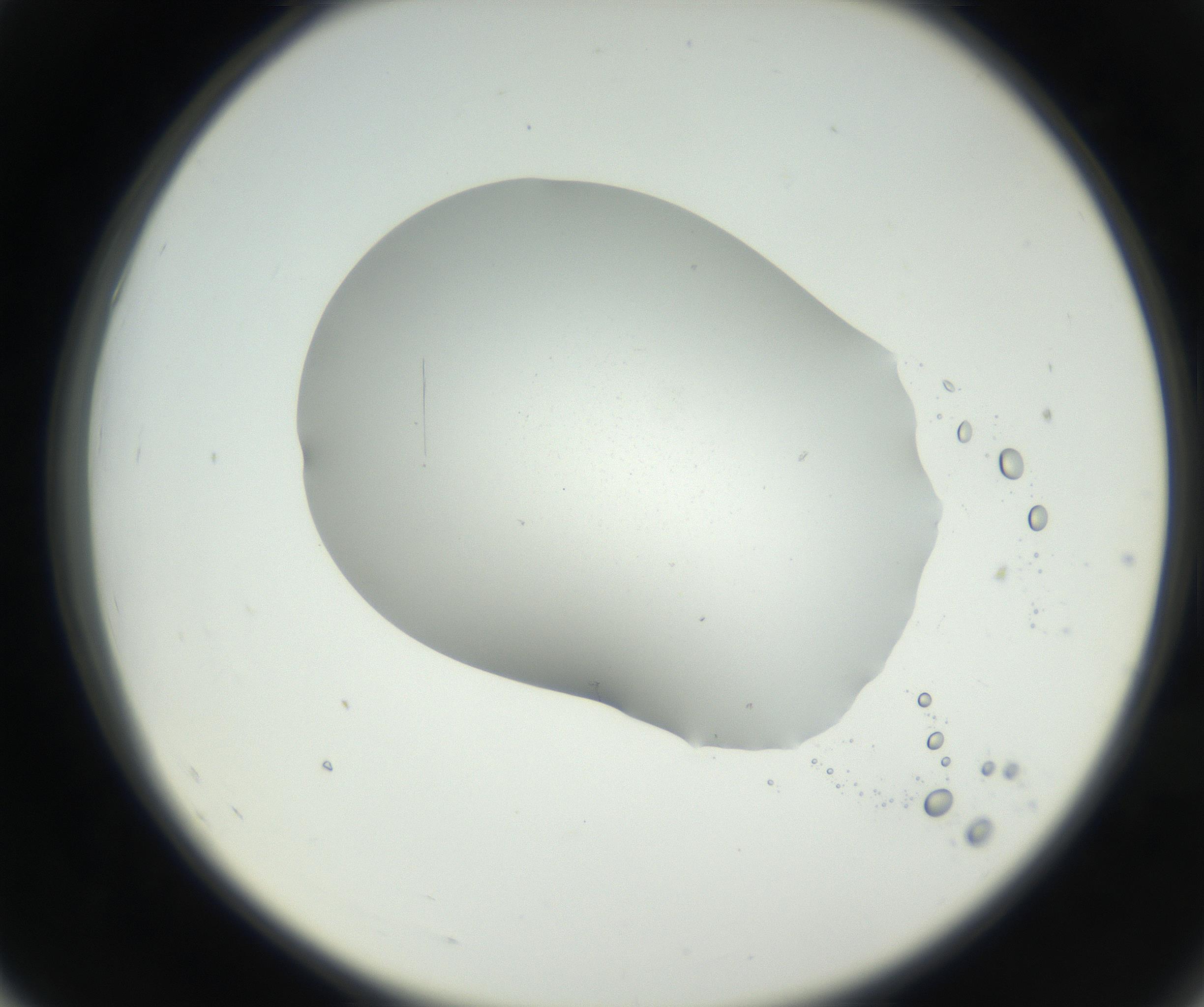RI01_03_000_0212_Proj1_Clon1_MC_0000MC102622_005_160813_07_05_02_00_99_002_001_RAI.jpg