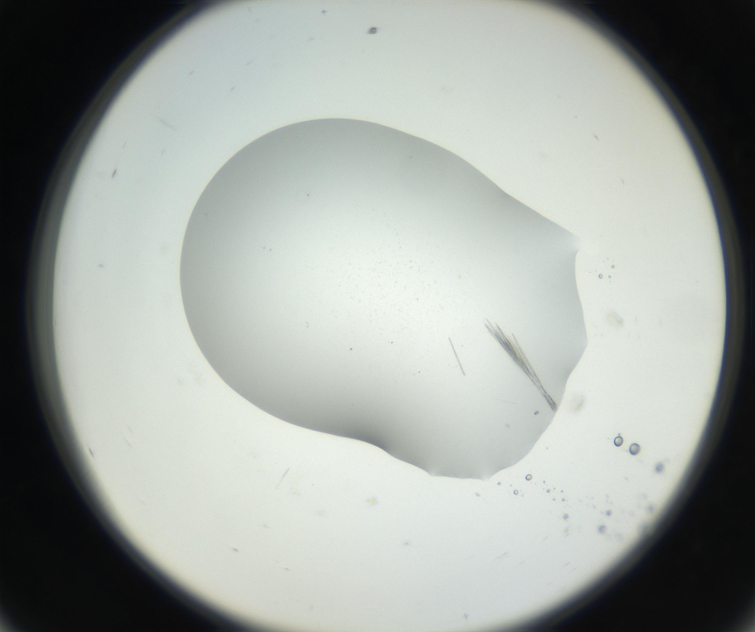 RI01_03_000_0212_Proj1_Clon1_MC_0000MC102622_005_160813_08_05_02_00_99_002_001_RAI.jpg