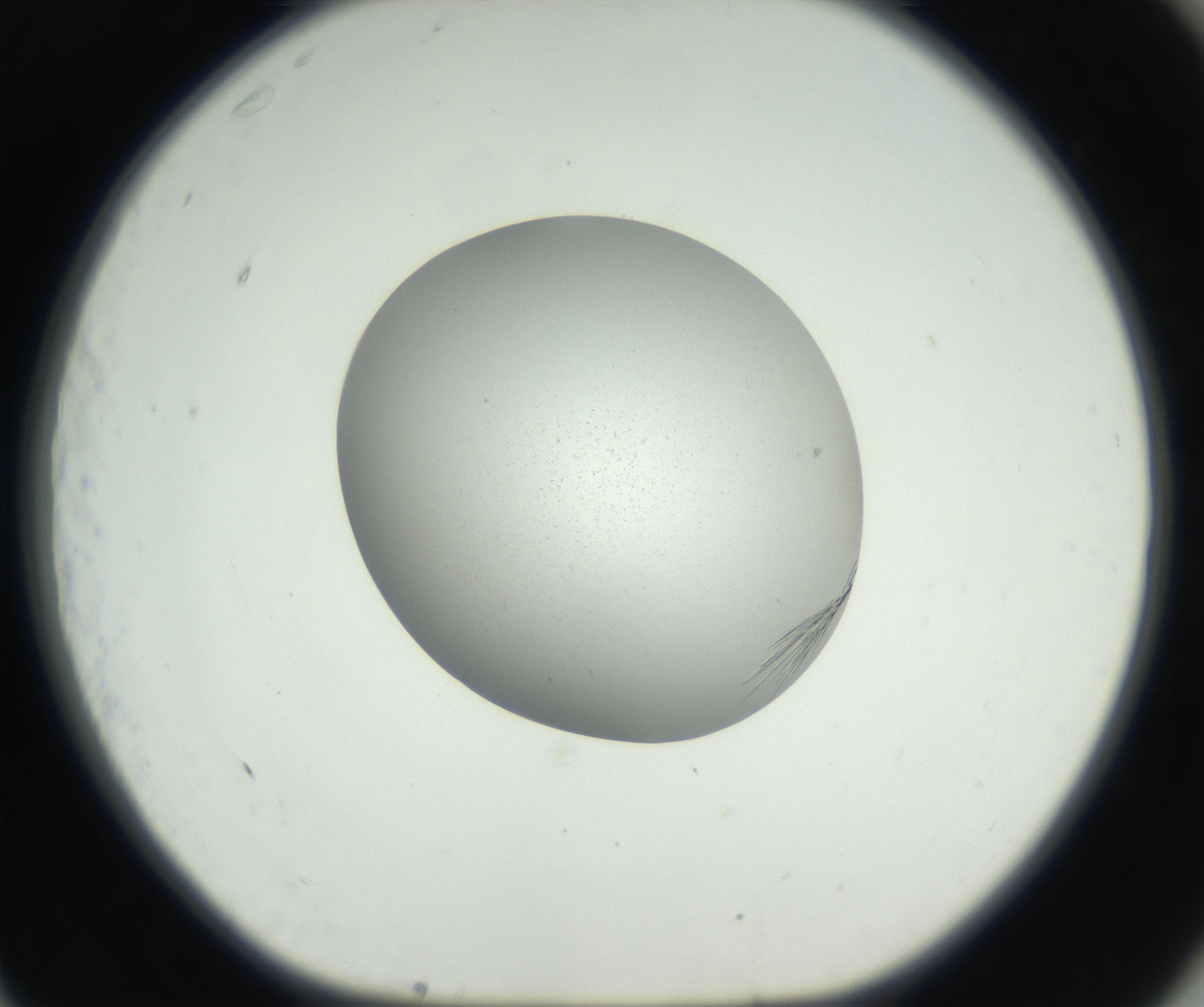RI01_03_000_0212_Proj1_Clon1_MC_0000MC102622_005_160813_11_07_01_00_99_002_001_RAI.jpg