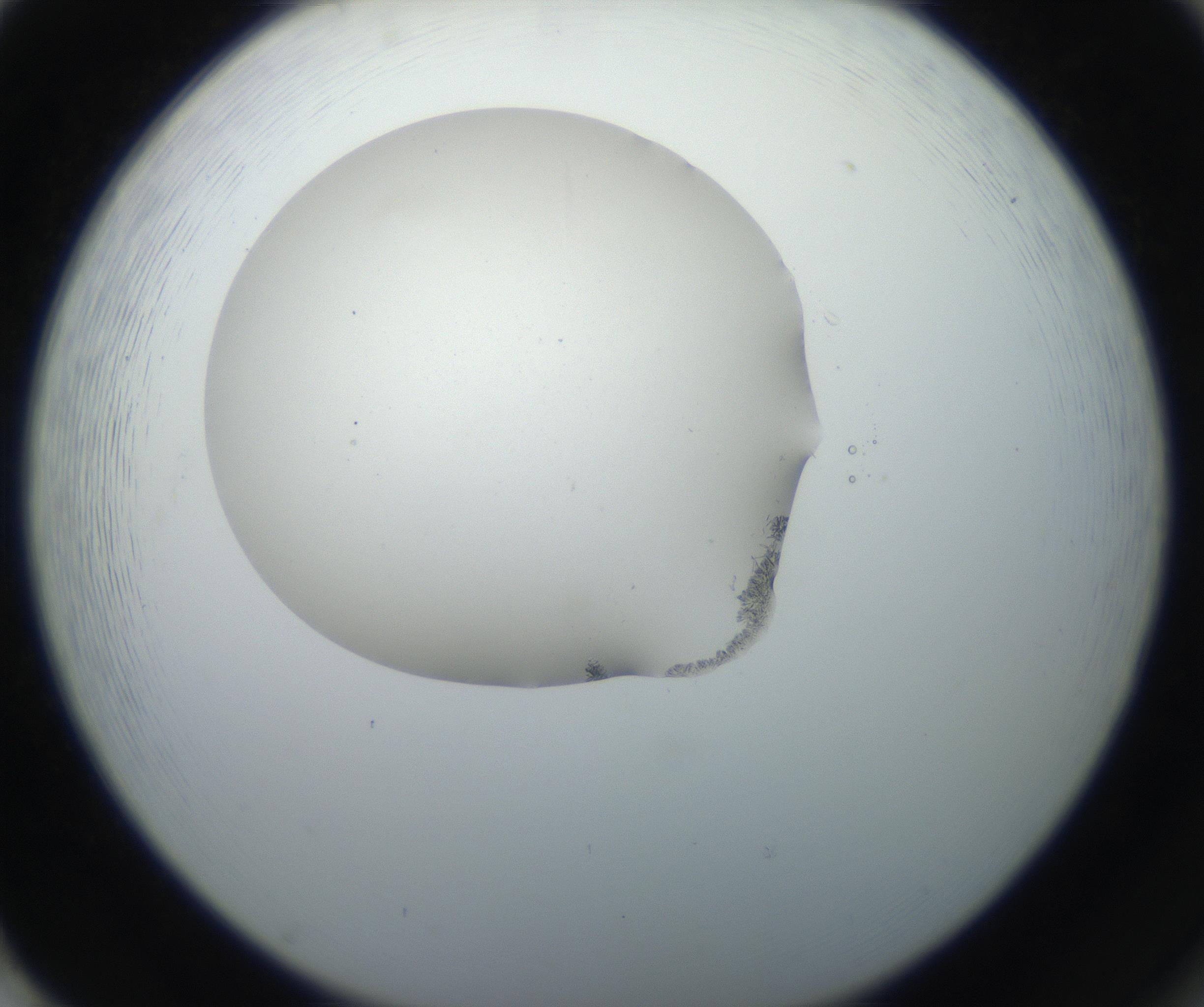 RI01_03_000_0212_Proj1_Clon1_MC_0000MC102623_006_160818_02_08_02_00_99_002_001_RAI.jpg