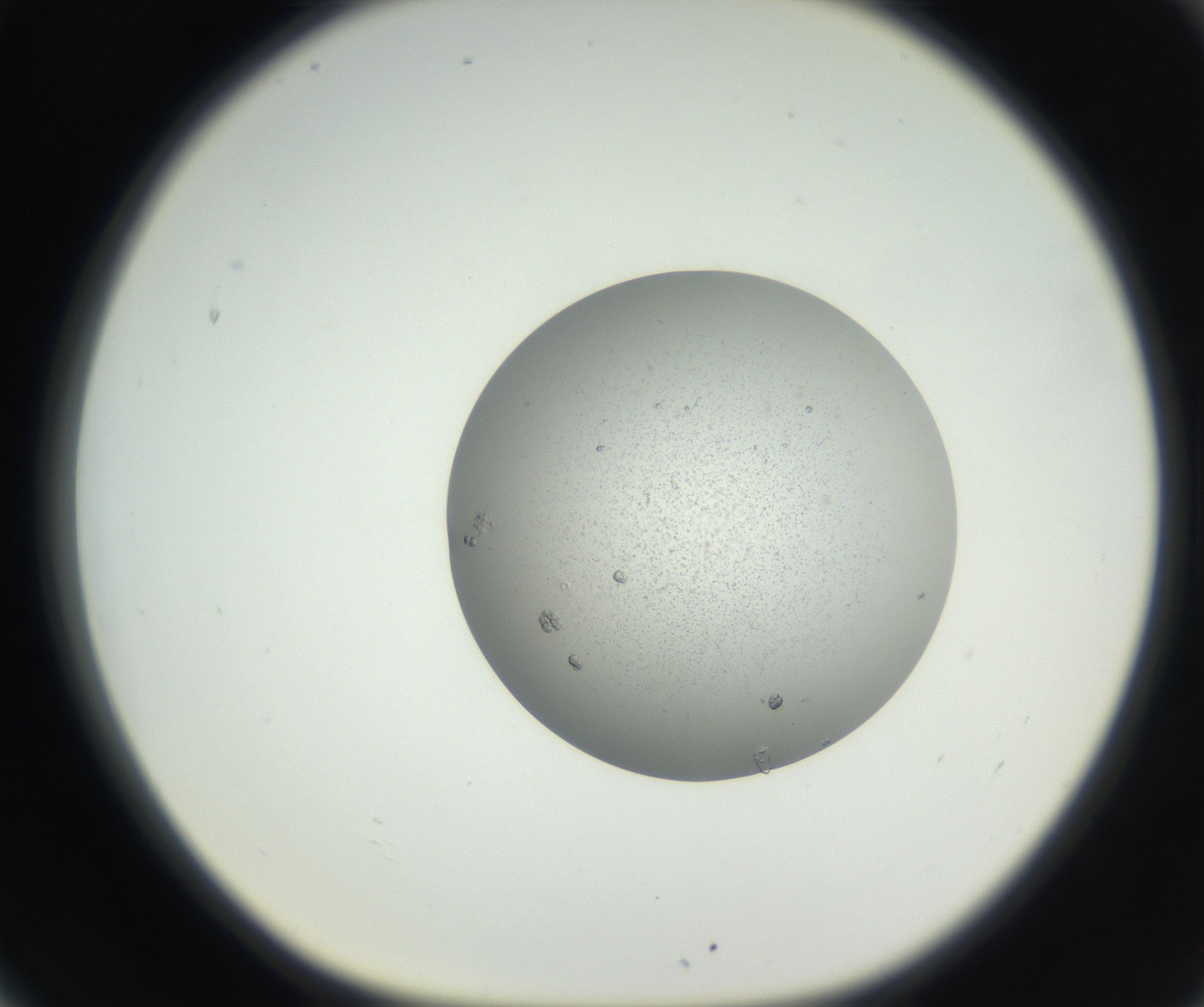 RI01_03_000_0212_Proj1_Clon1_MC_0000MC102624_002_160809_06_07_01_00_99_002_001_RAI.jpg