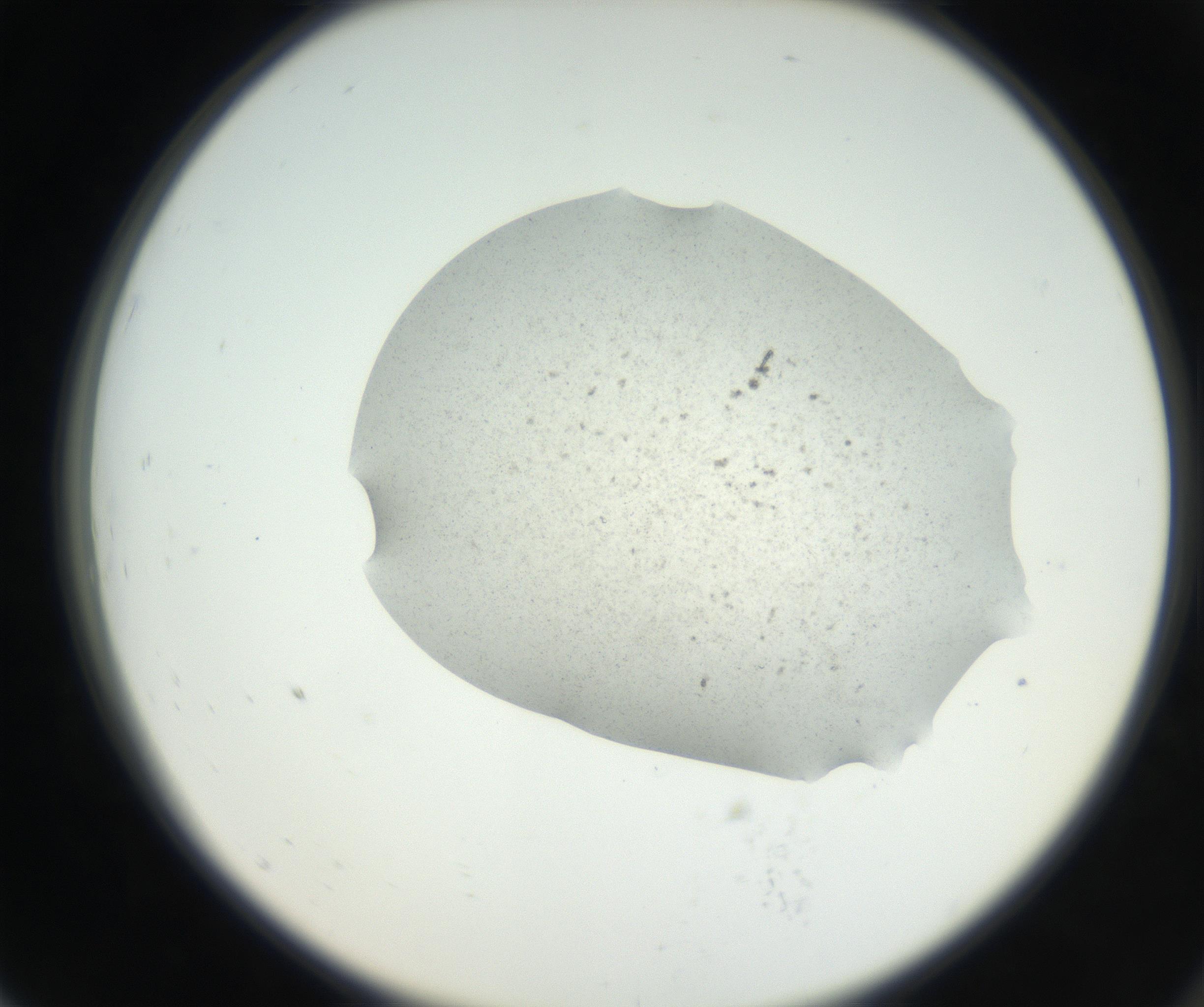 RI01_03_000_0212_Proj1_Clon1_MC_0000MC102624_002_160809_07_07_02_00_99_002_001_RAI.jpg