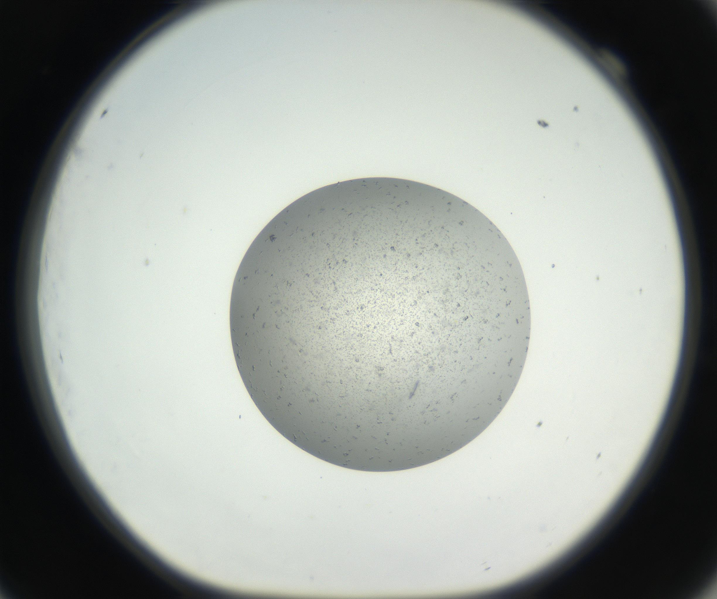RI01_03_000_0212_Proj1_Clon1_MC_0000MC102624_002_160809_09_06_01_00_99_002_001_RAI.jpg