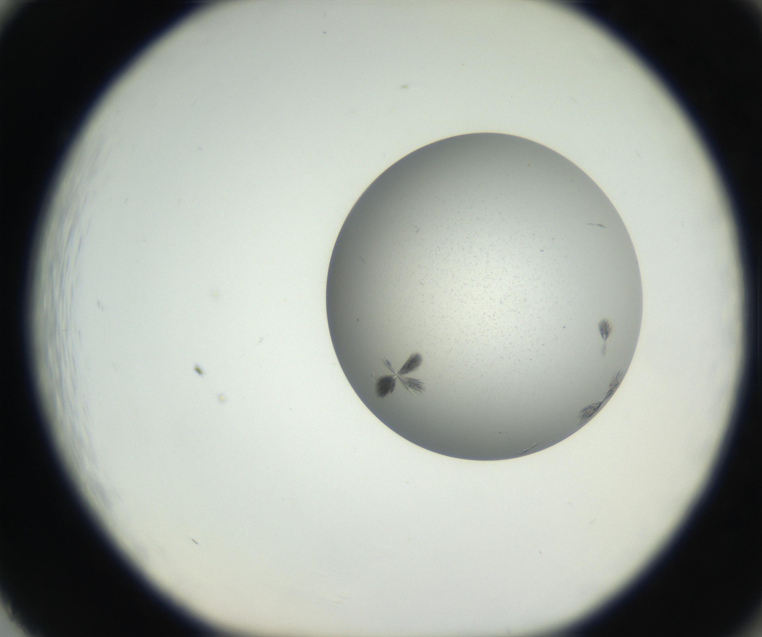 RI01_03_000_0212_Proj1_Clon1_MC_0000MC102624_003_160811_02_08_01_00_99_002_001_RAI.jpg