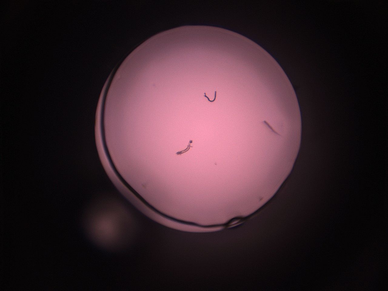 05i2_J2_ImagerDefaults_1.jpg