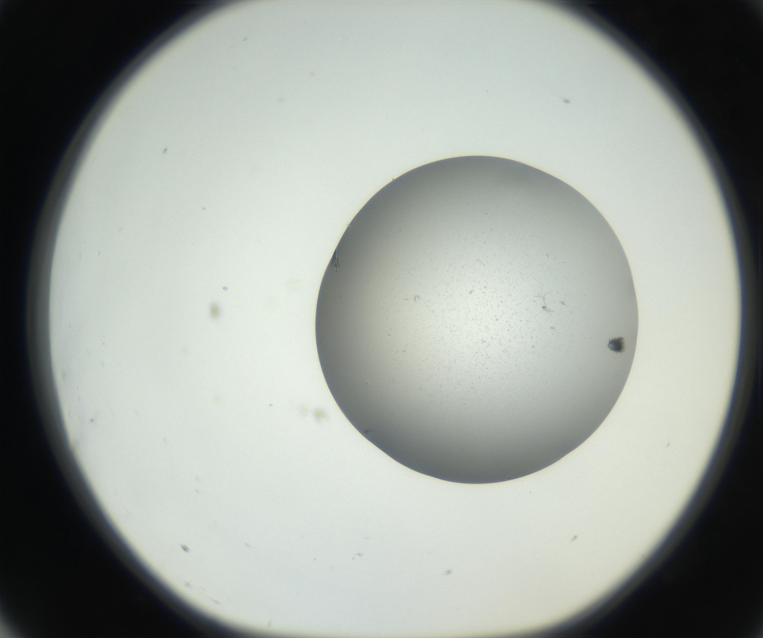 RI01_03_000_0212_Proj1_Clon1_MC_0000MC102624_003_160811_03_07_01_00_99_002_001_RAI.jpg