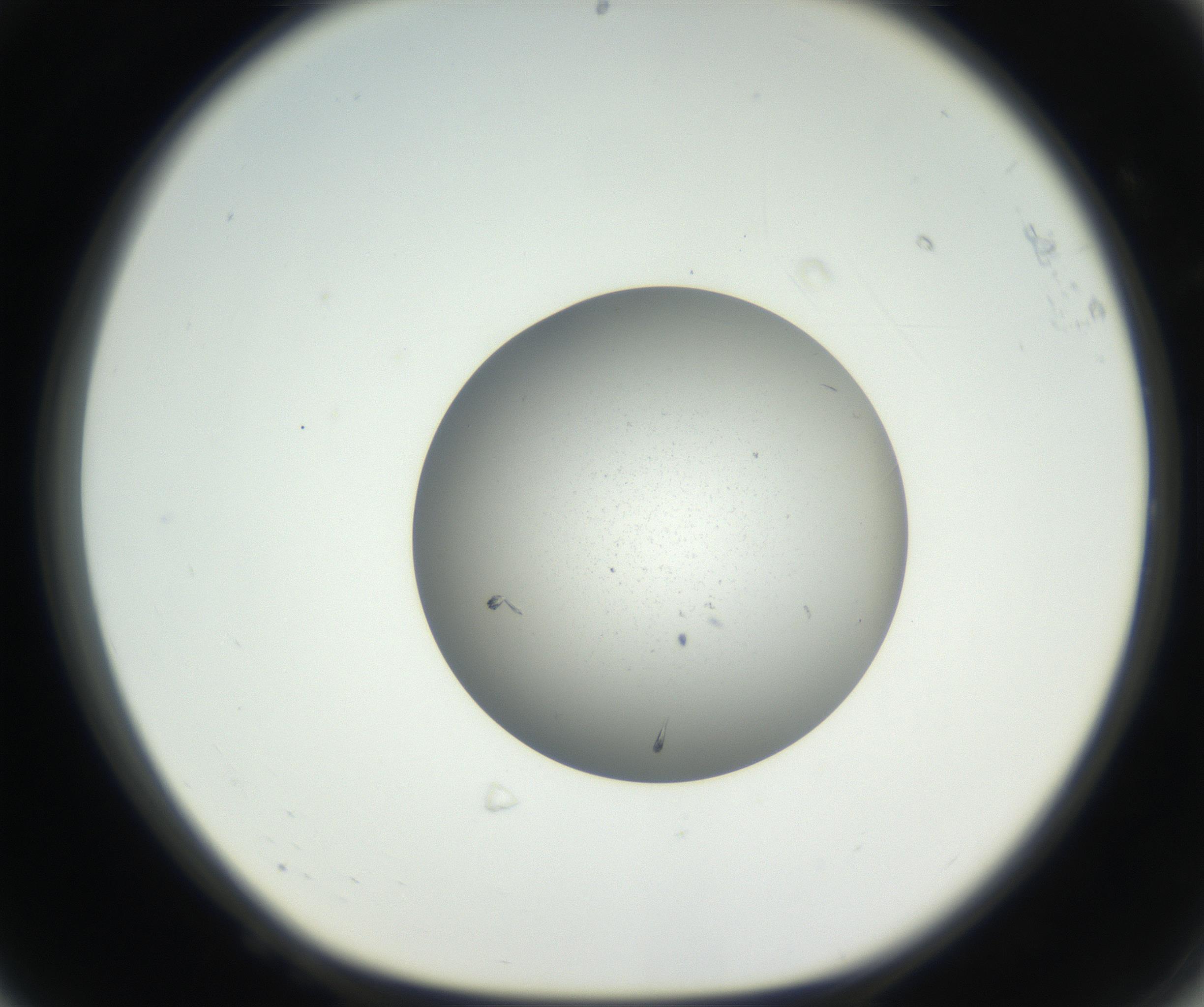 RI01_03_000_0212_Proj1_Clon1_MC_0000MC102624_003_160811_08_06_01_00_99_002_001_RAI.jpg