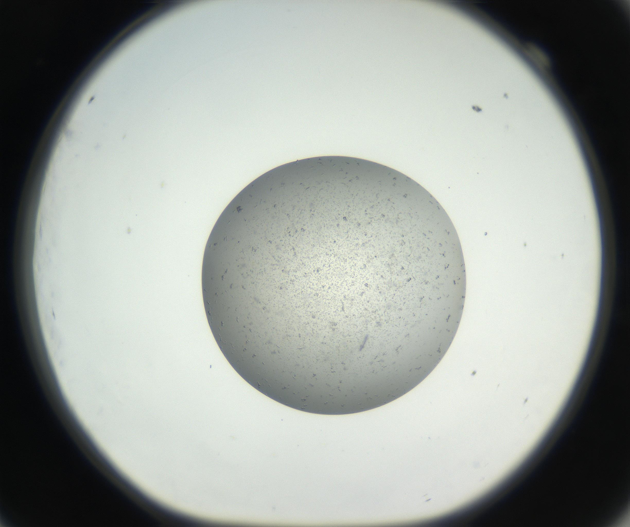 RI01_03_000_0212_Proj1_Clon1_MC_0000MC102624_003_160811_09_06_01_00_99_002_001_RAI.jpg