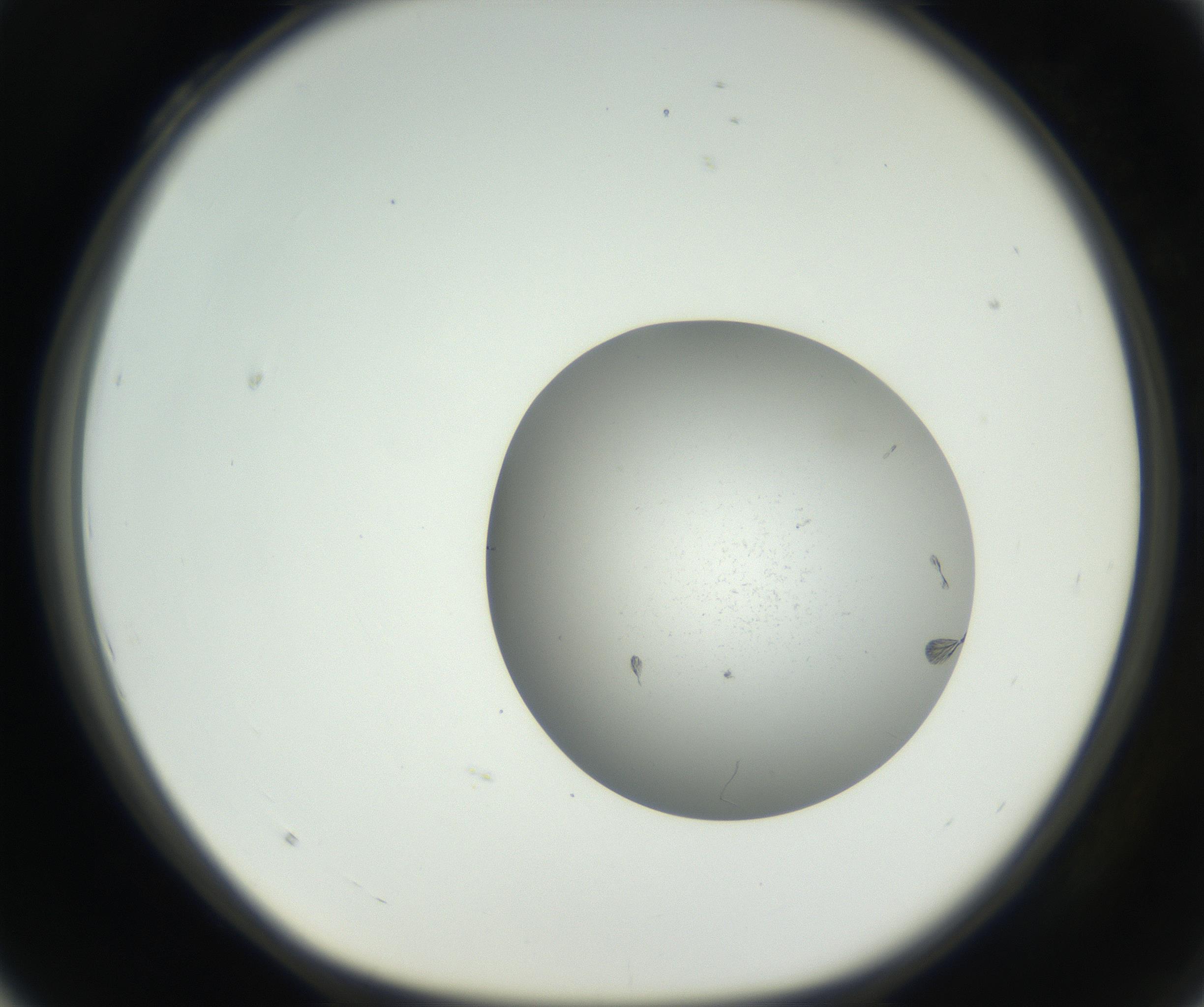 RI01_03_000_0212_Proj1_Clon1_MC_0000MC102624_006_160818_04_03_01_00_99_002_001_RAI.jpg