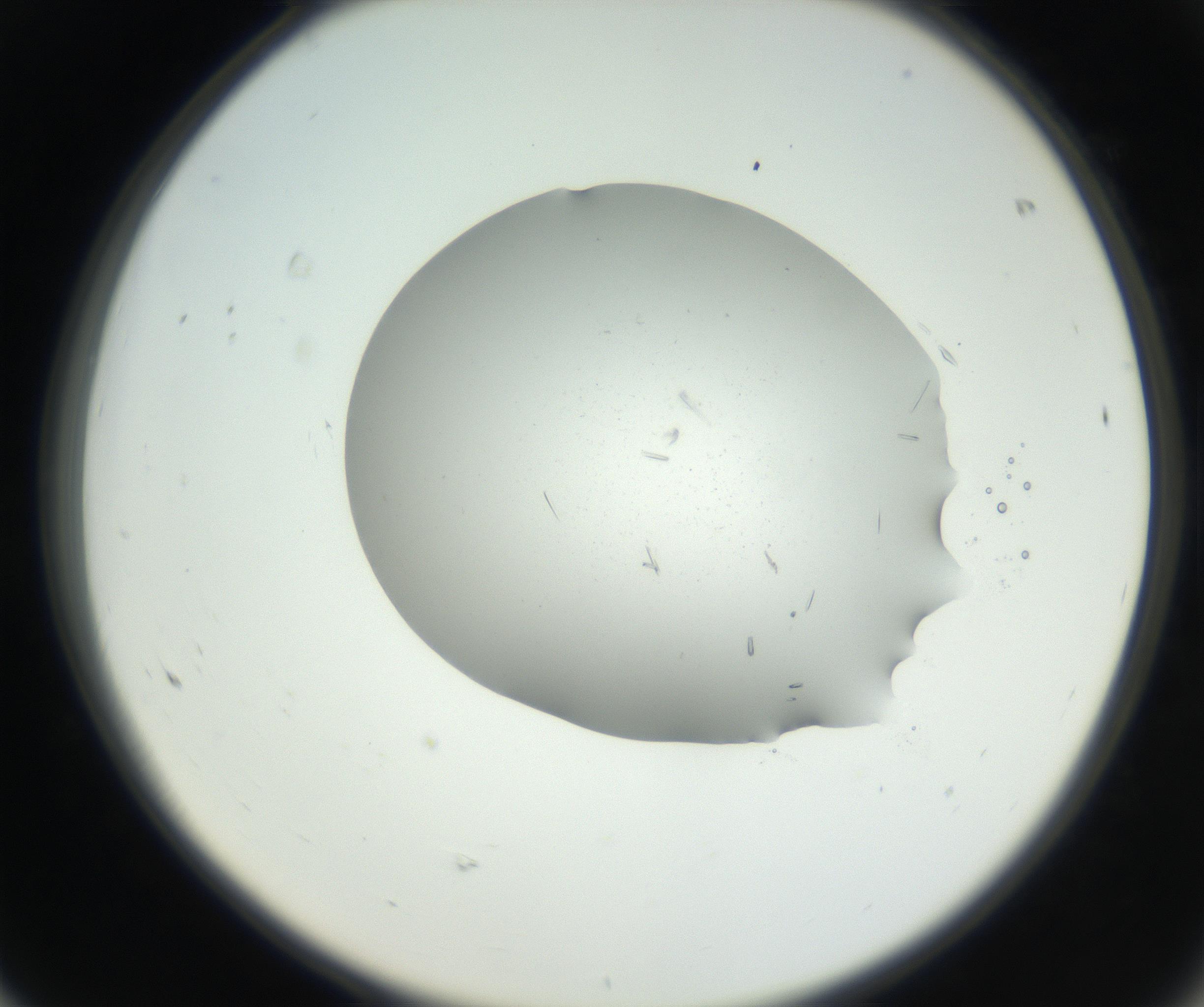 RI01_03_000_0212_Proj1_Clon1_MC_0000MC102624_006_160818_08_06_02_00_99_002_001_RAI.jpg