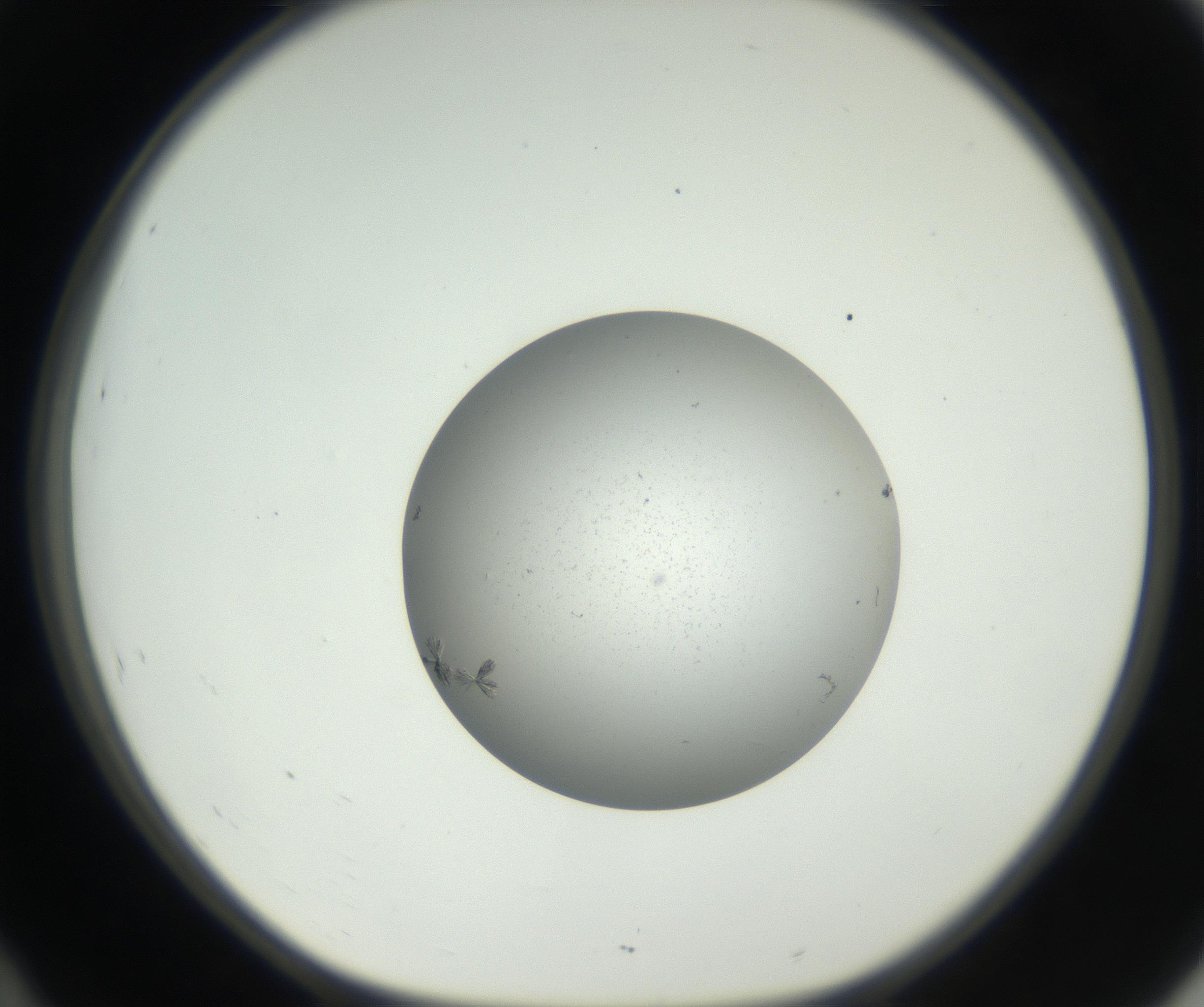 RI01_03_000_0212_Proj1_Clon1_MC_0000MC102624_006_160818_10_04_01_00_99_002_001_RAI.jpg